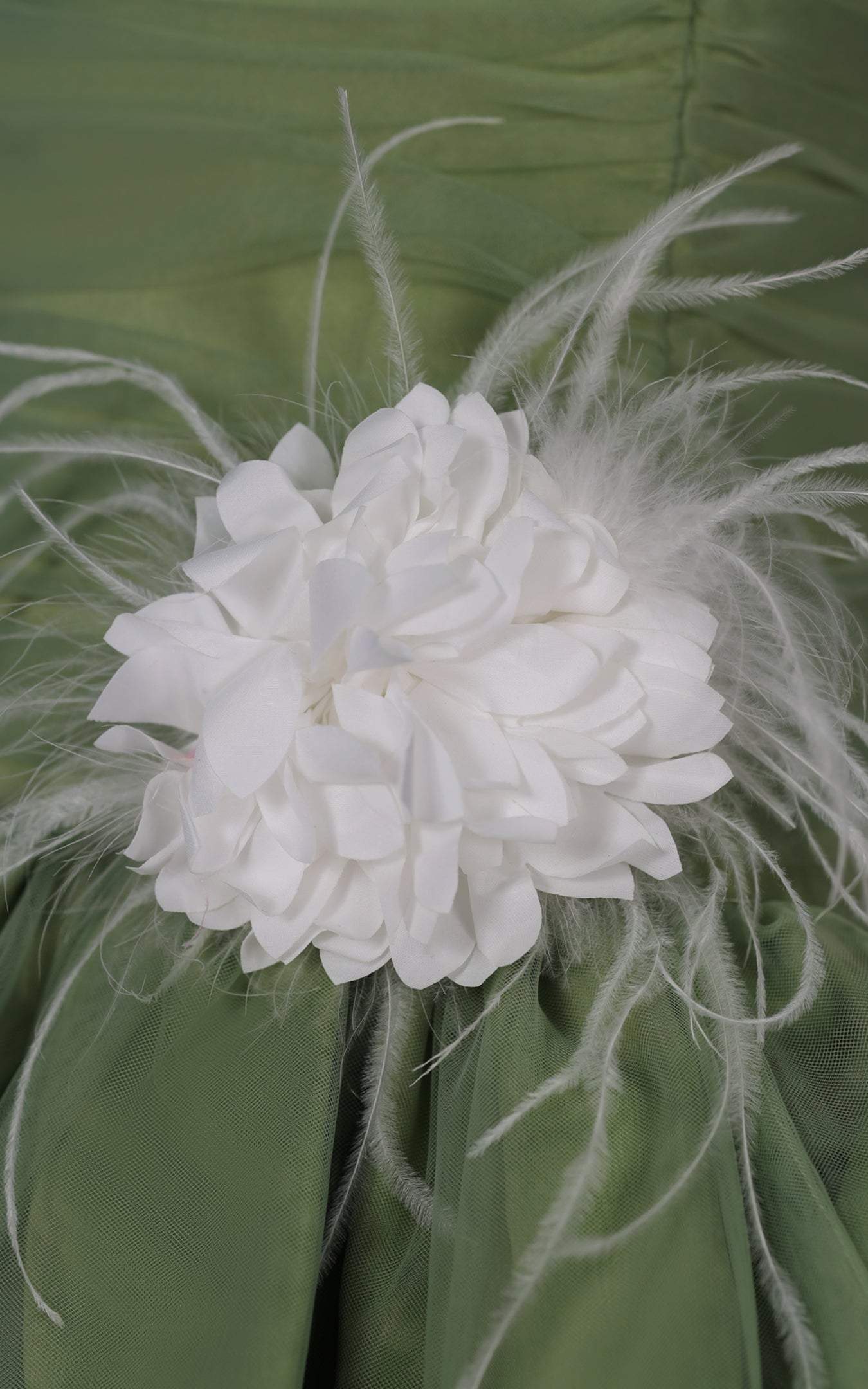 FNCJDR02849.MINT.03.jpg