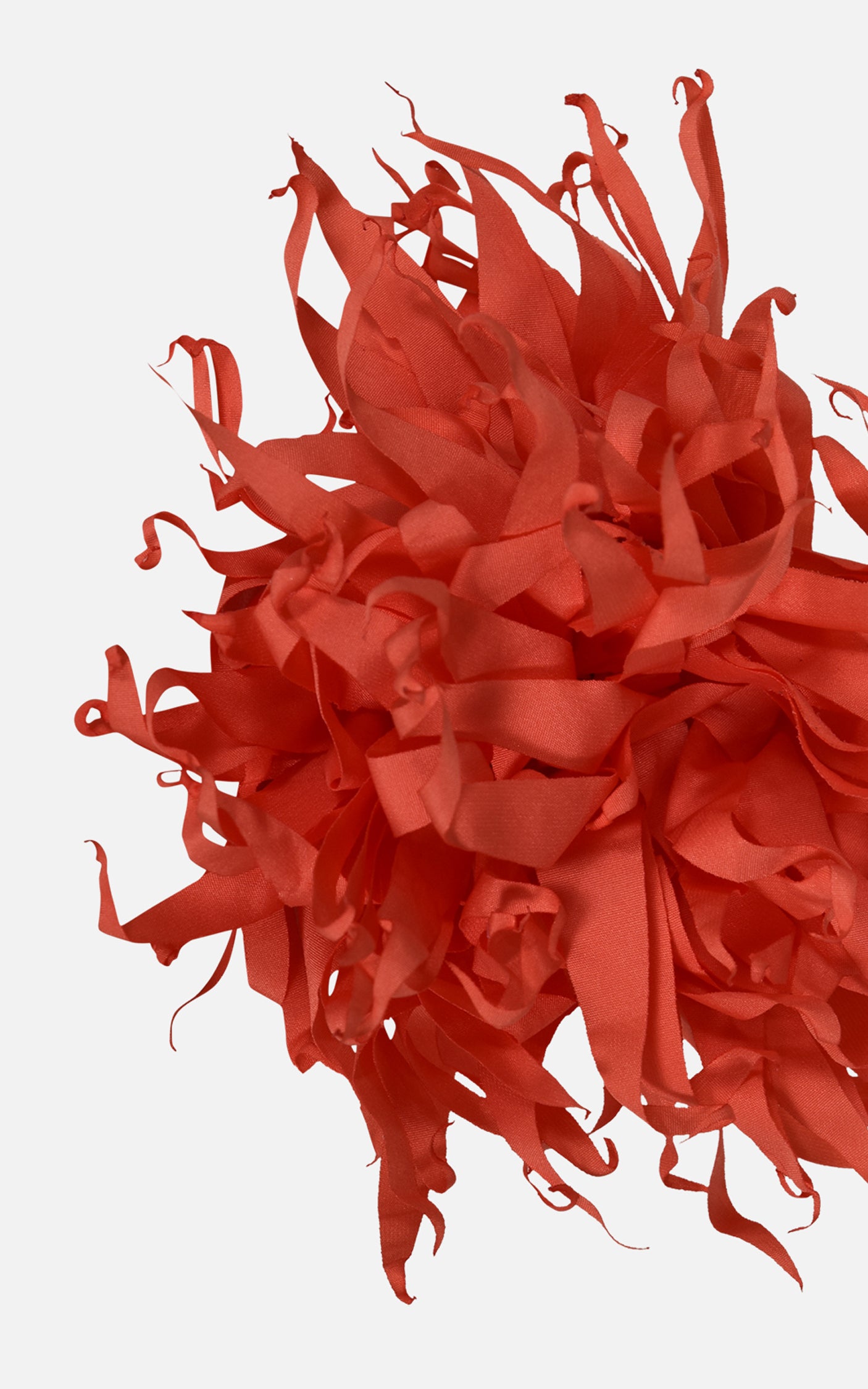 FNCAC01680.CORAL.3.jpg
