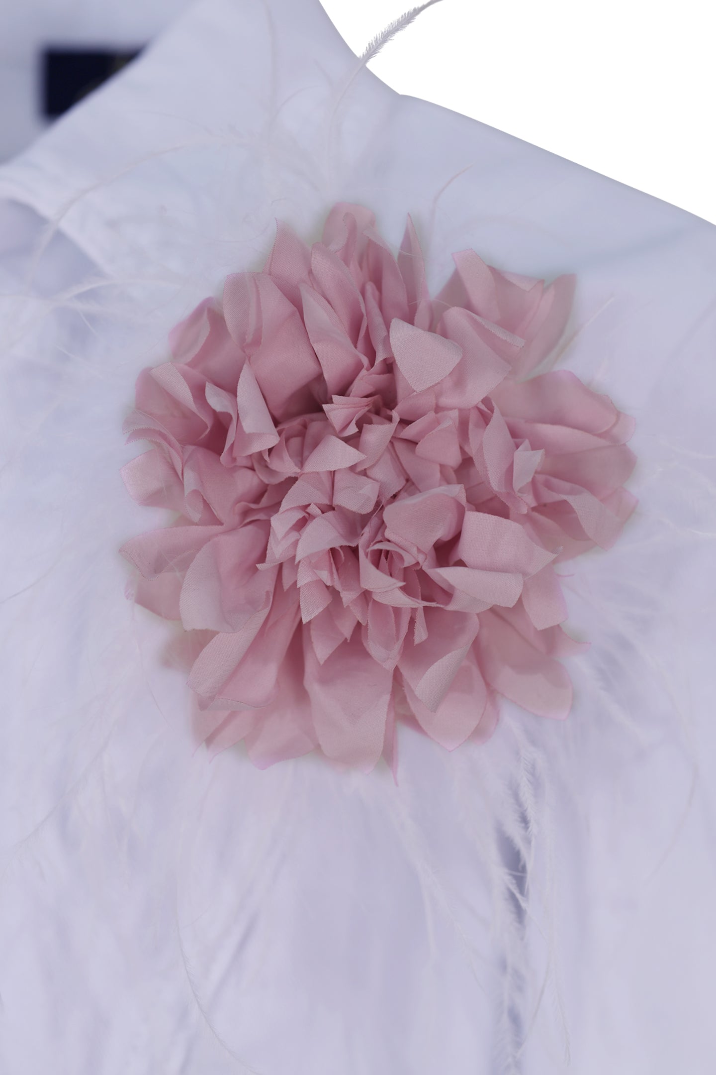 FNCJJK02811.WHITE-FNCJAC02806.033.jpg