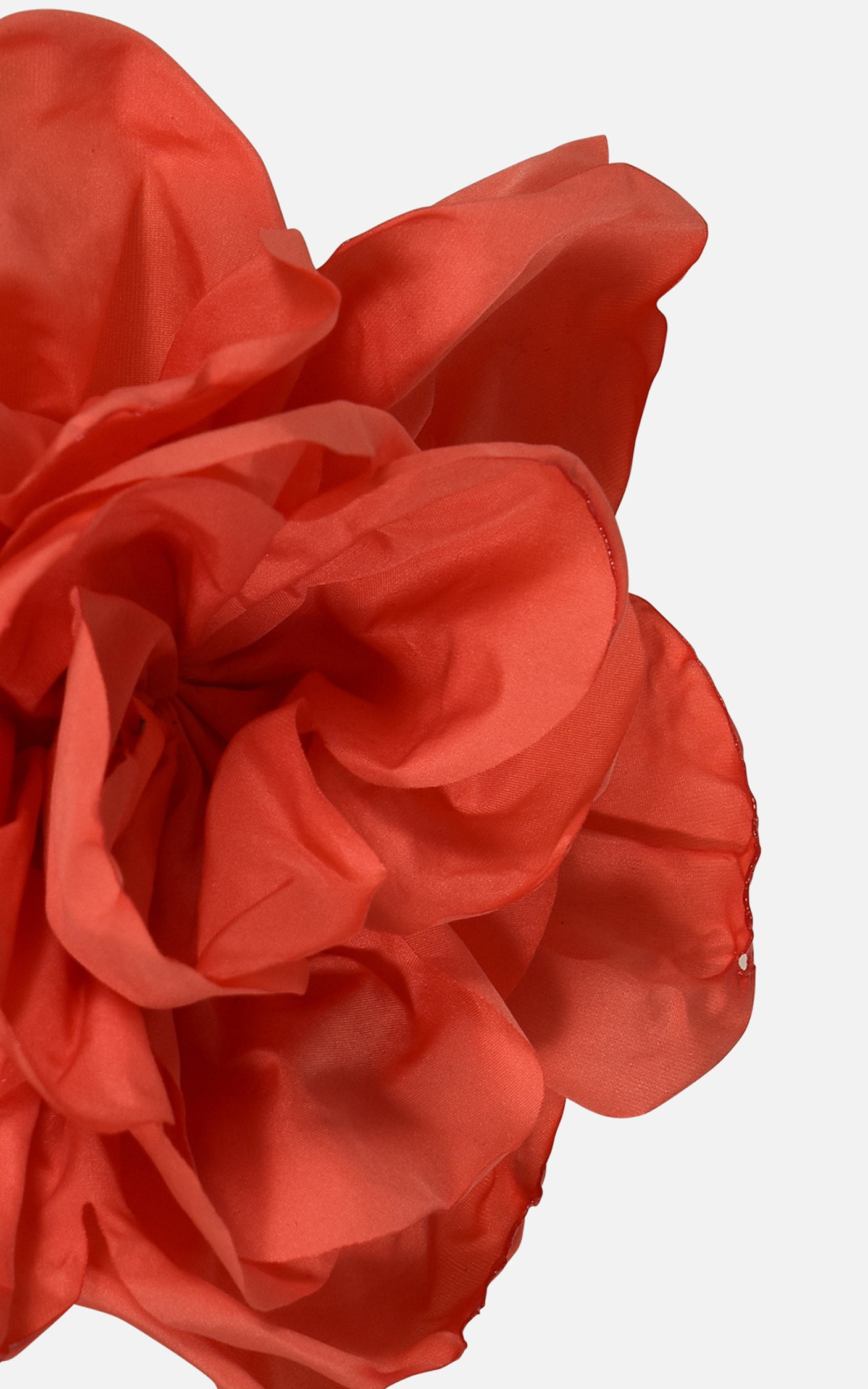 FNCAC01678.CORAL.3.jpg