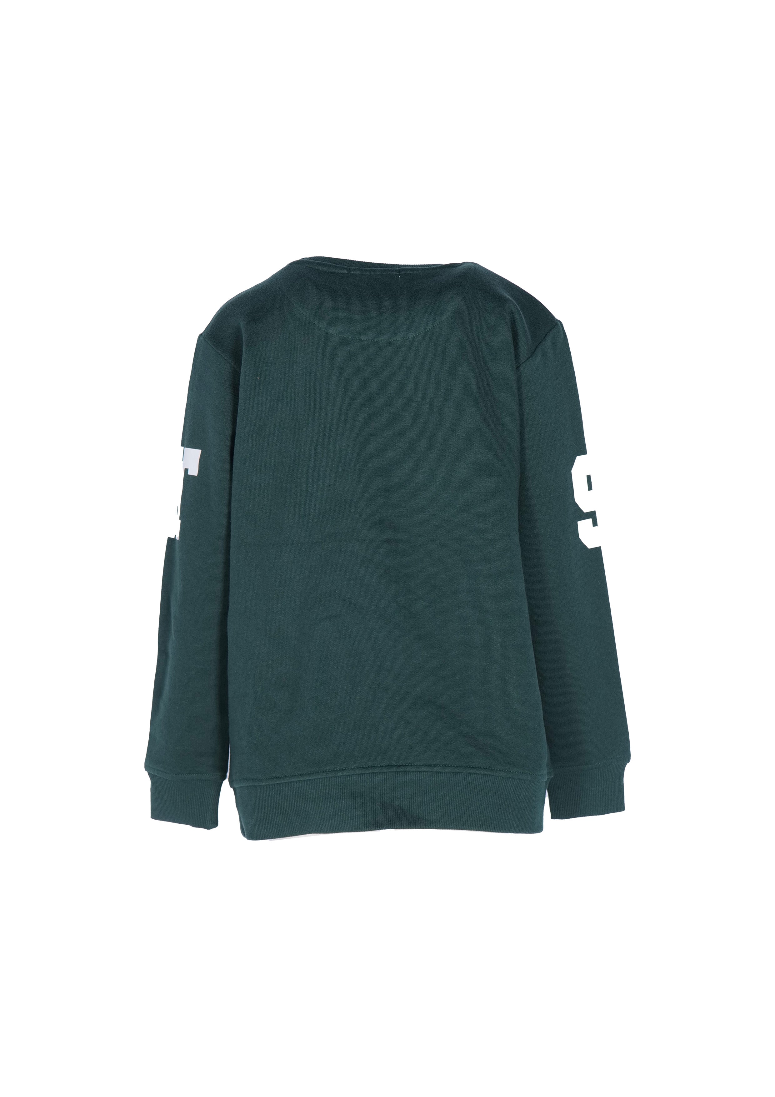 SVJST02442.VERDE.2.jpg