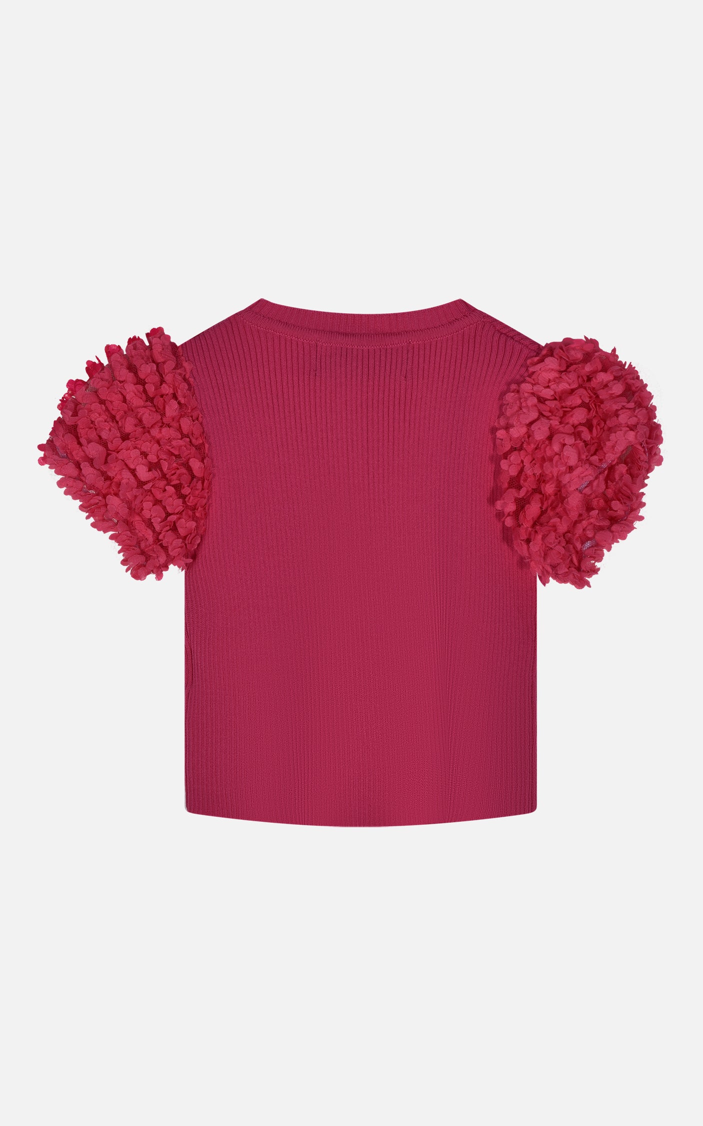 HLNTS01695.FUCSIA.2.jpg