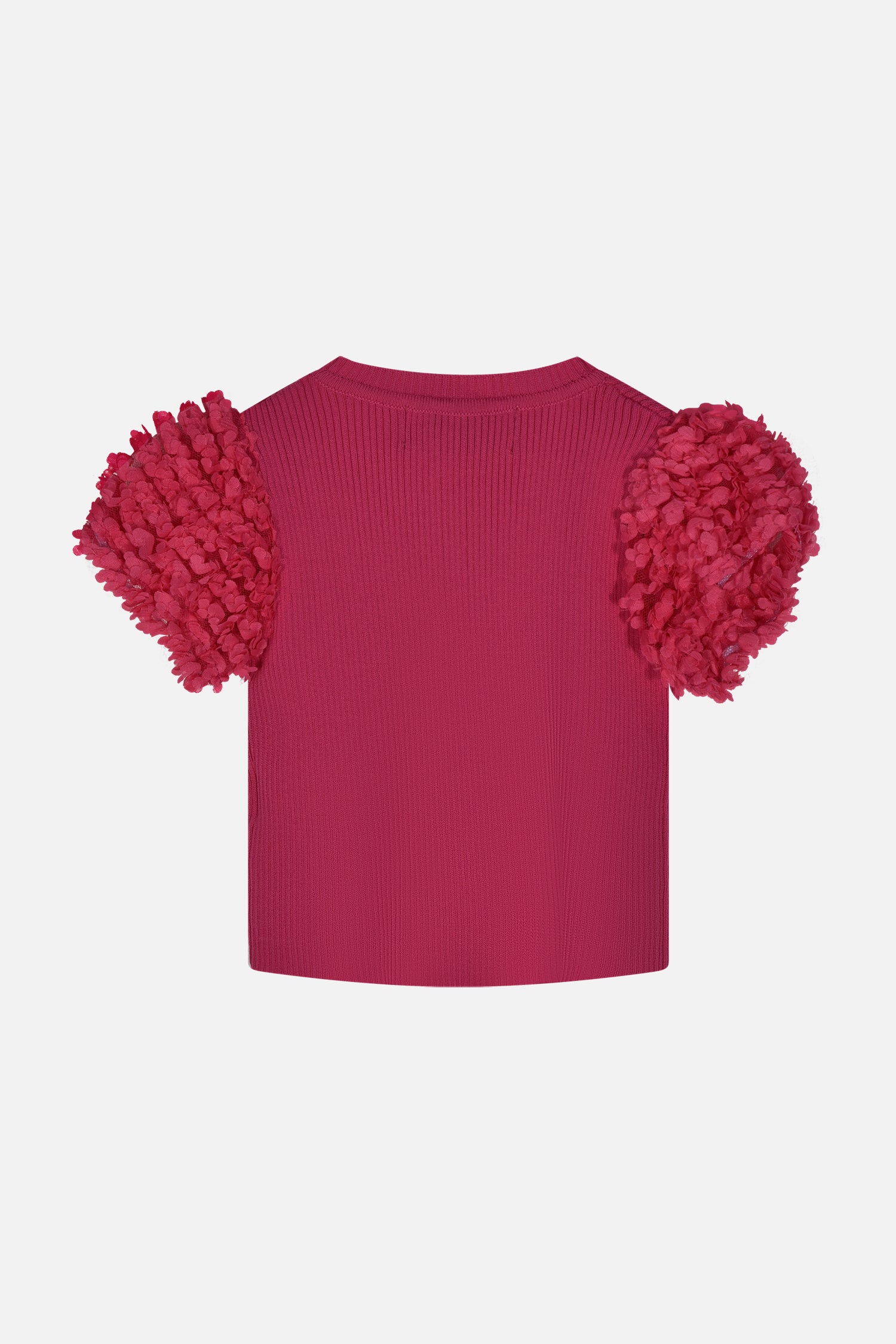 HLNTS01695.FUCSIA.2.jpg