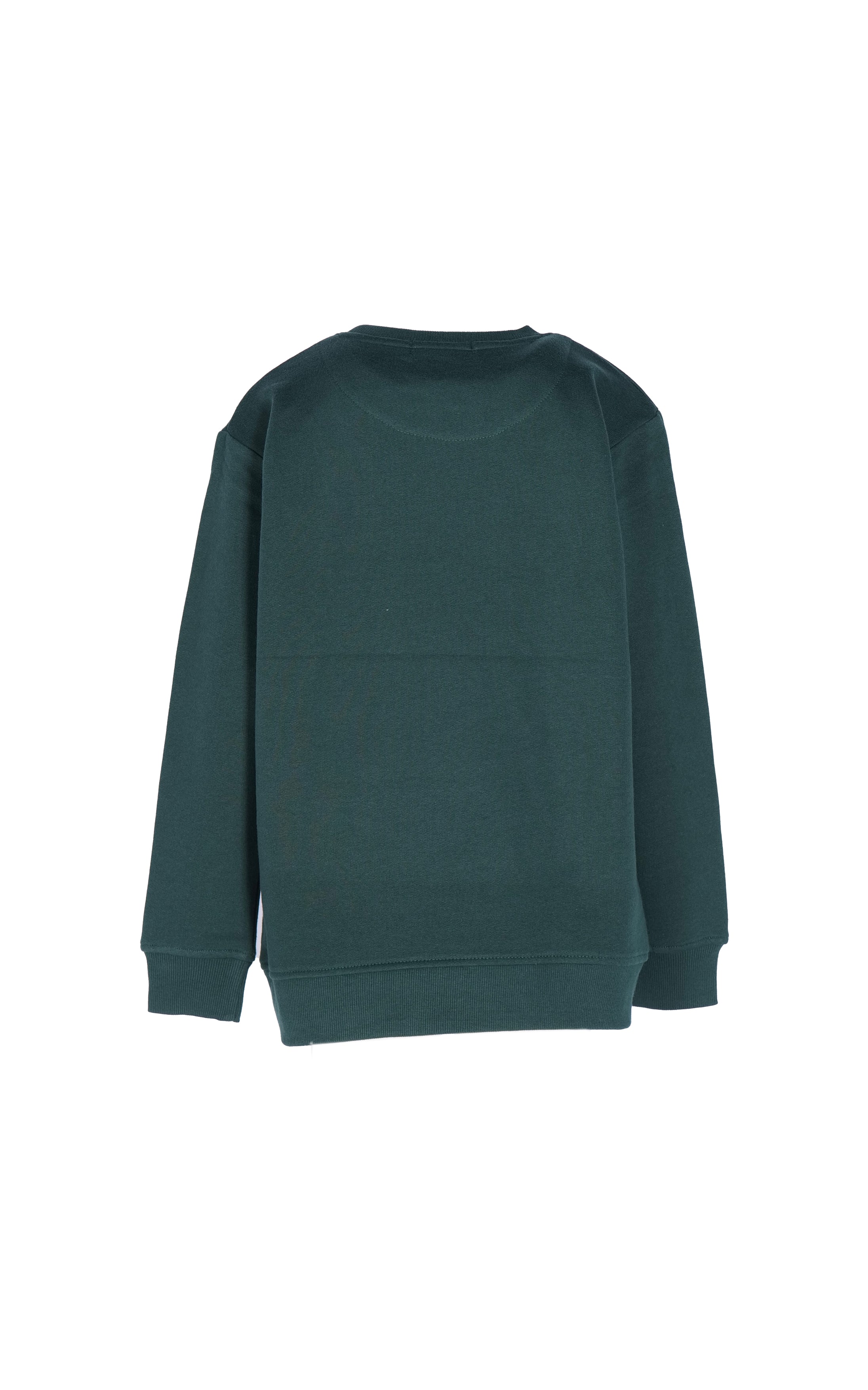 SVJST02443.VERDE.2.jpg