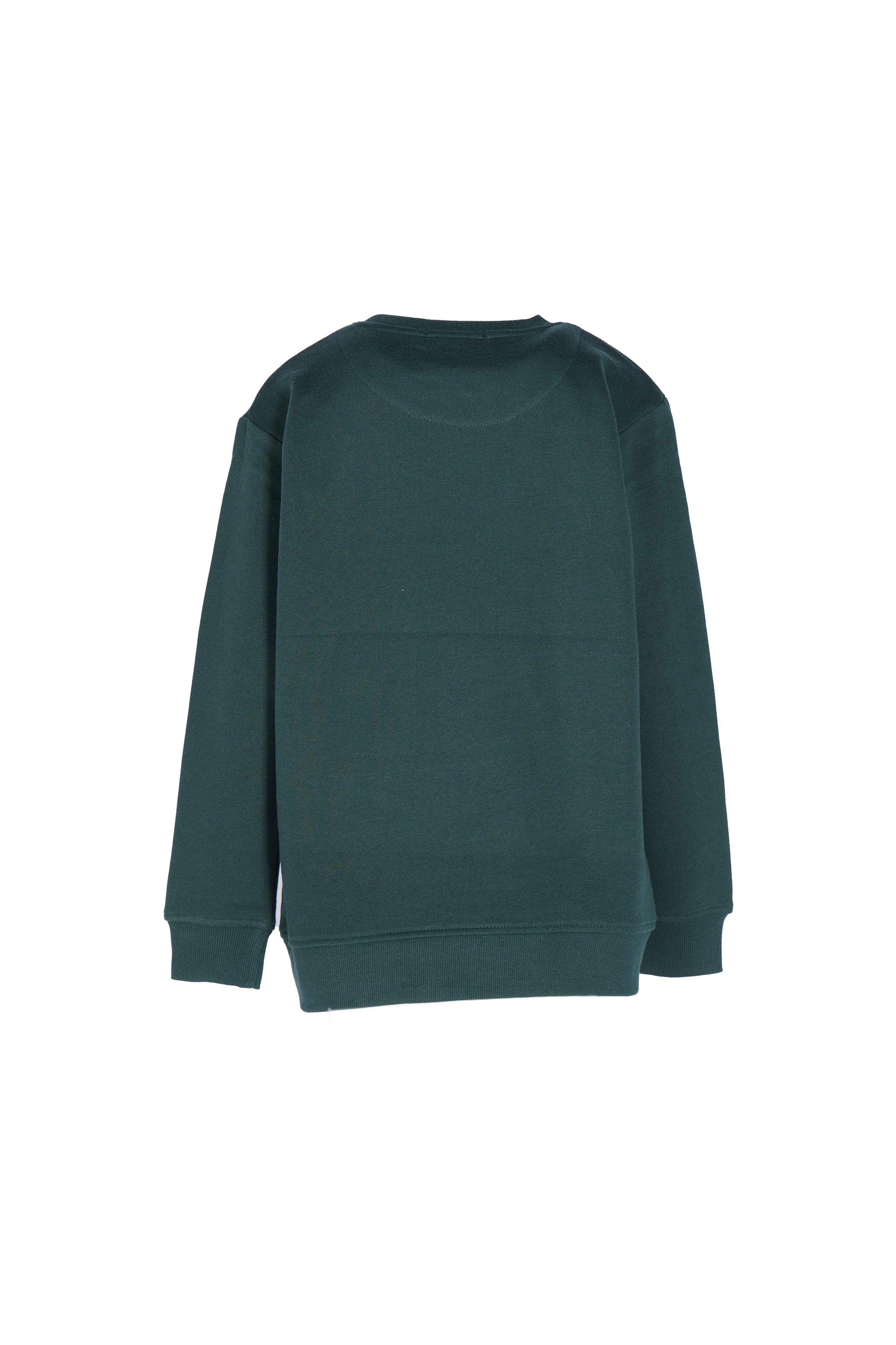 SVJST02443.VERDE.2.jpg