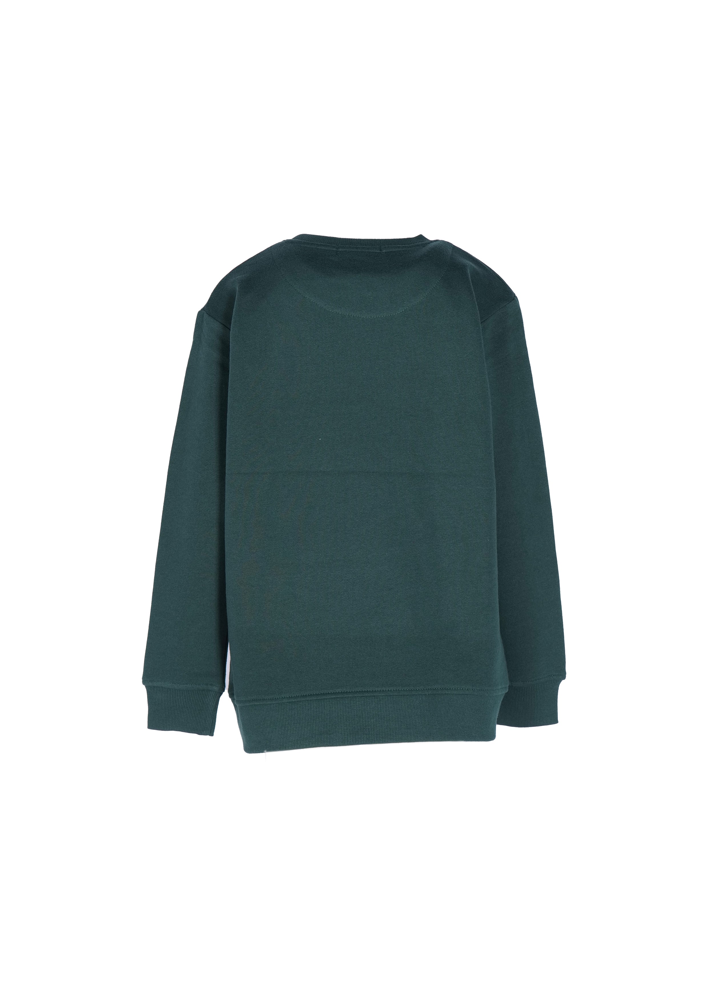 SVJST02443.VERDE.2.jpg