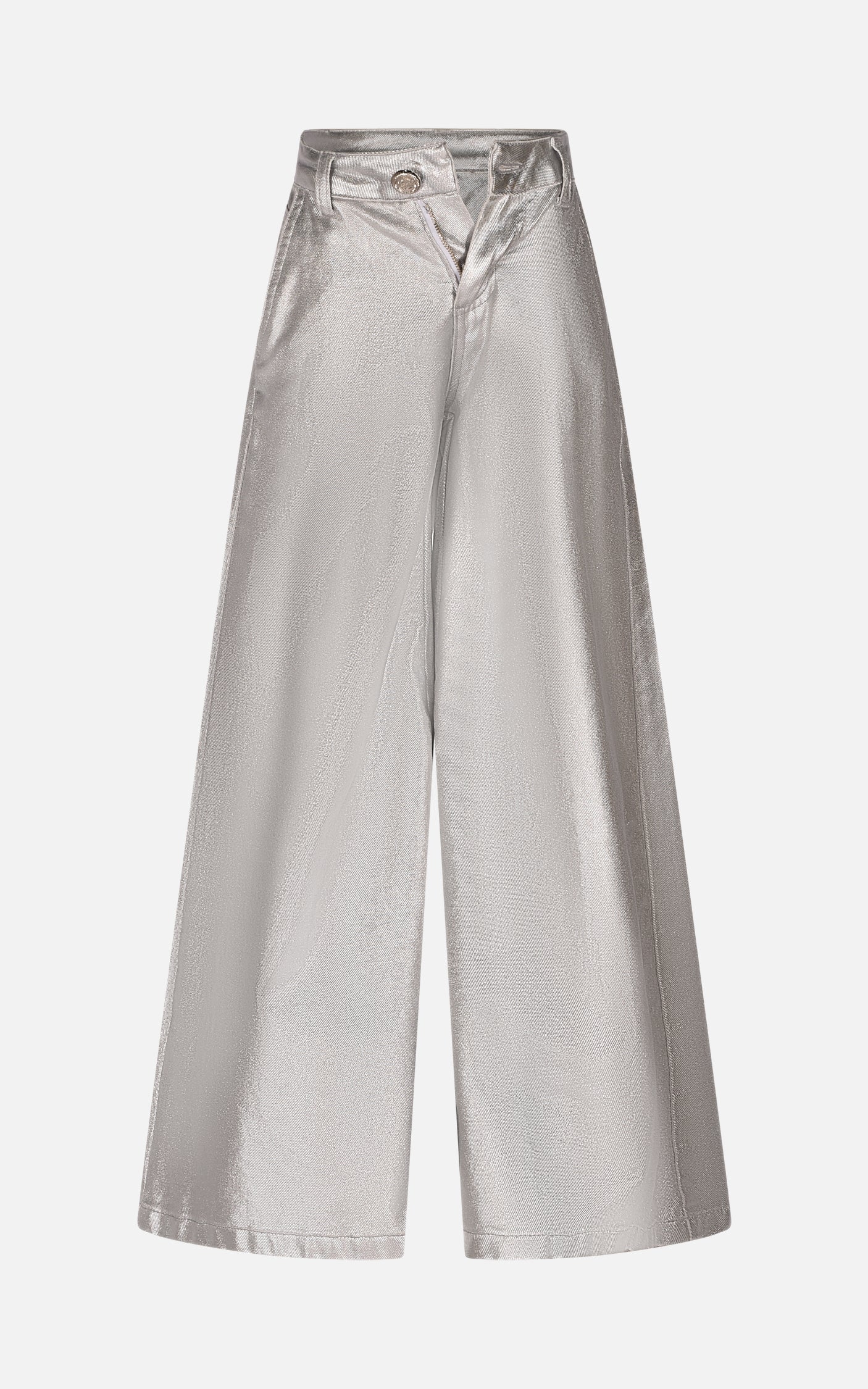 HLJPT01666.SILVER.1.jpg