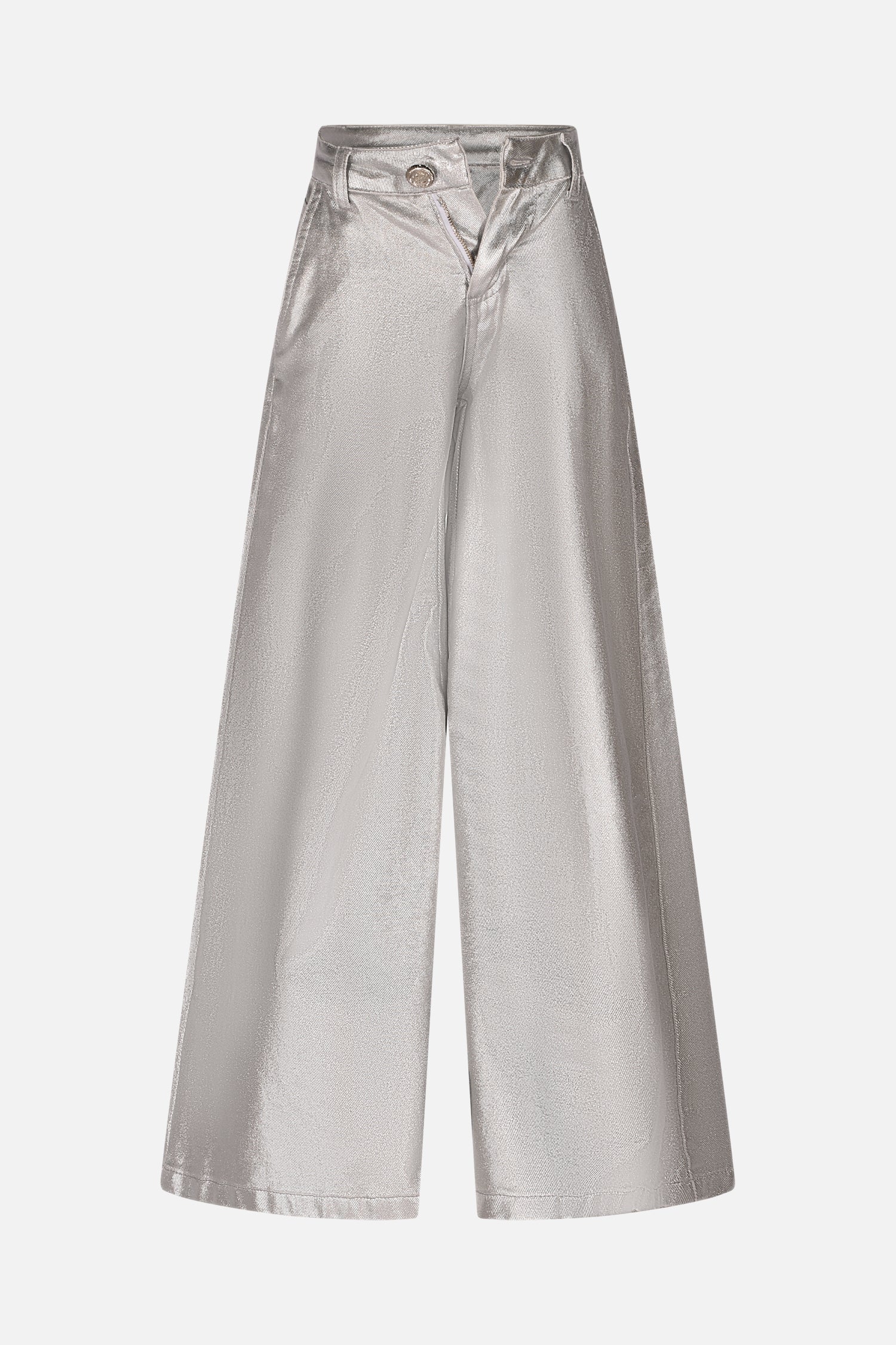 HLJPT01666.SILVER.1.jpg