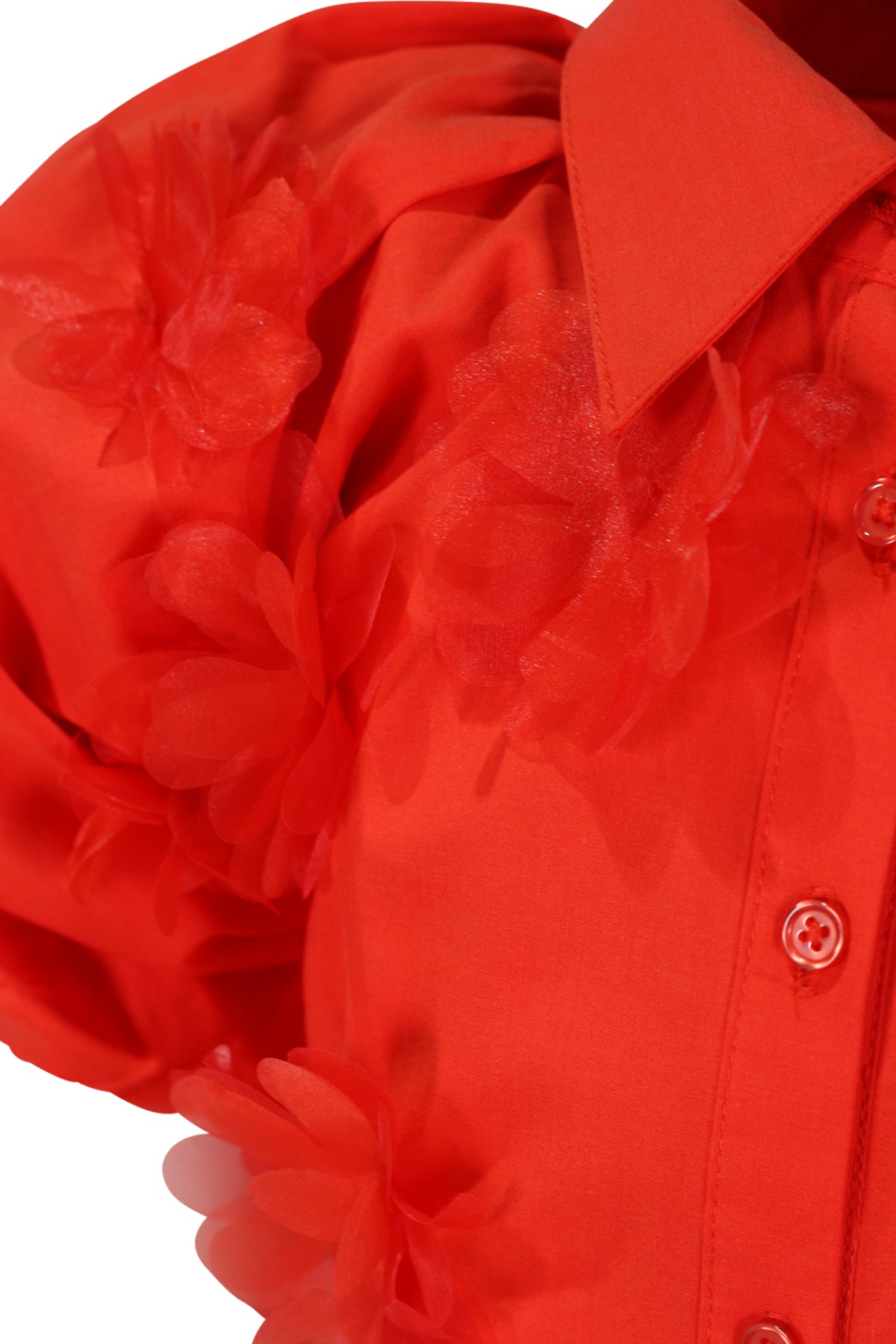FJDR03091.RED.03.jpg