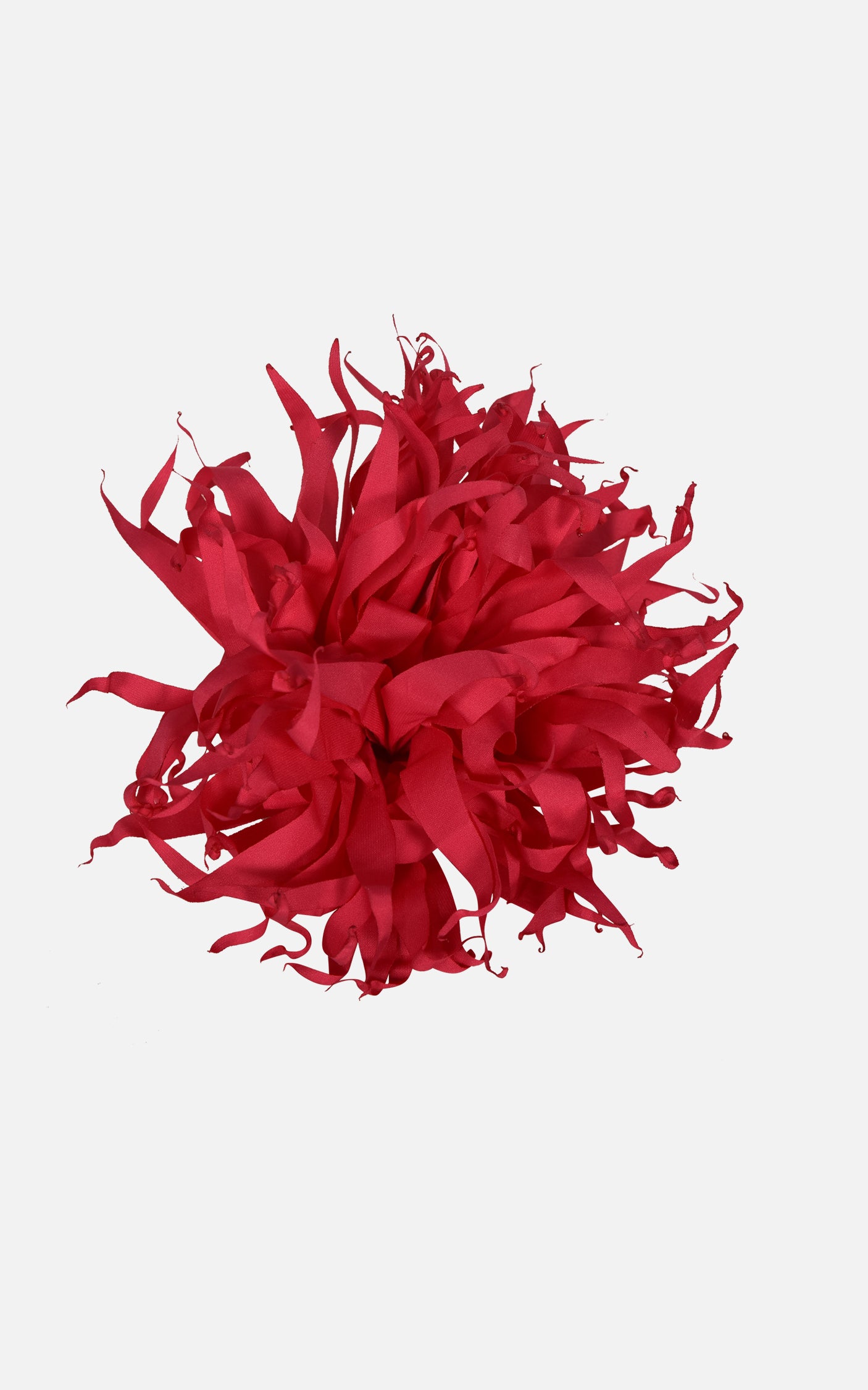 FNCAC01680.FUCSIA.2.jpg