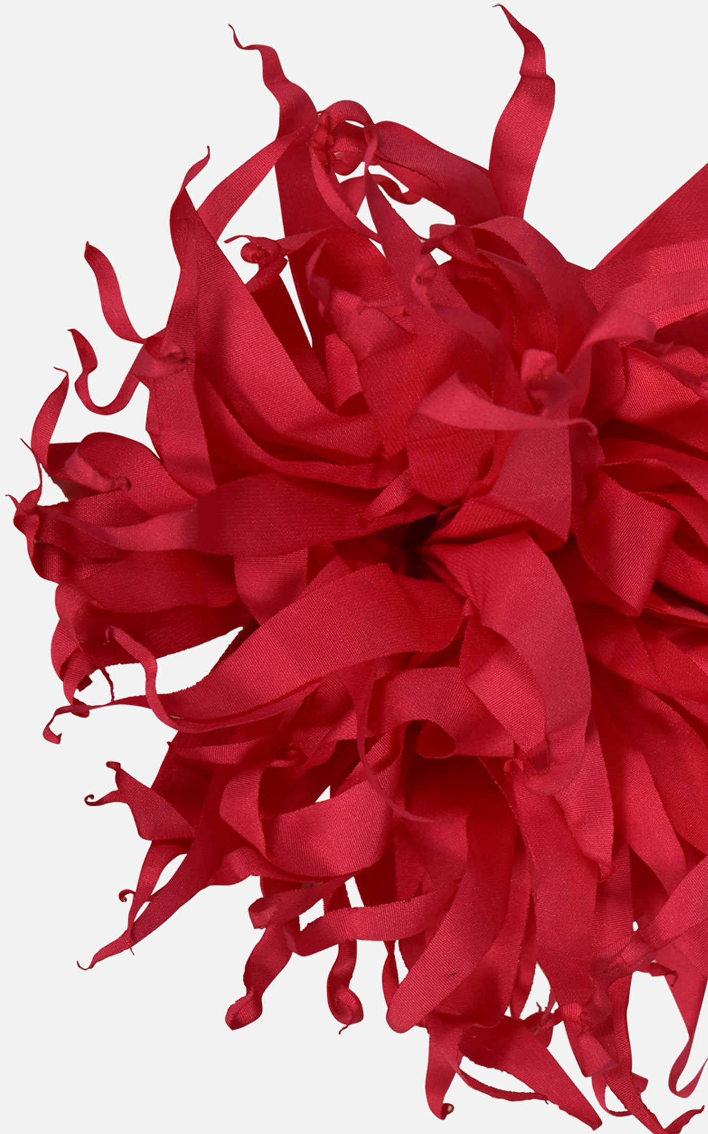 FNCAC01680.FUCSIA.3.jpg