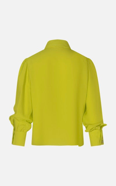 JMJSH00230.LIME.2.jpeg