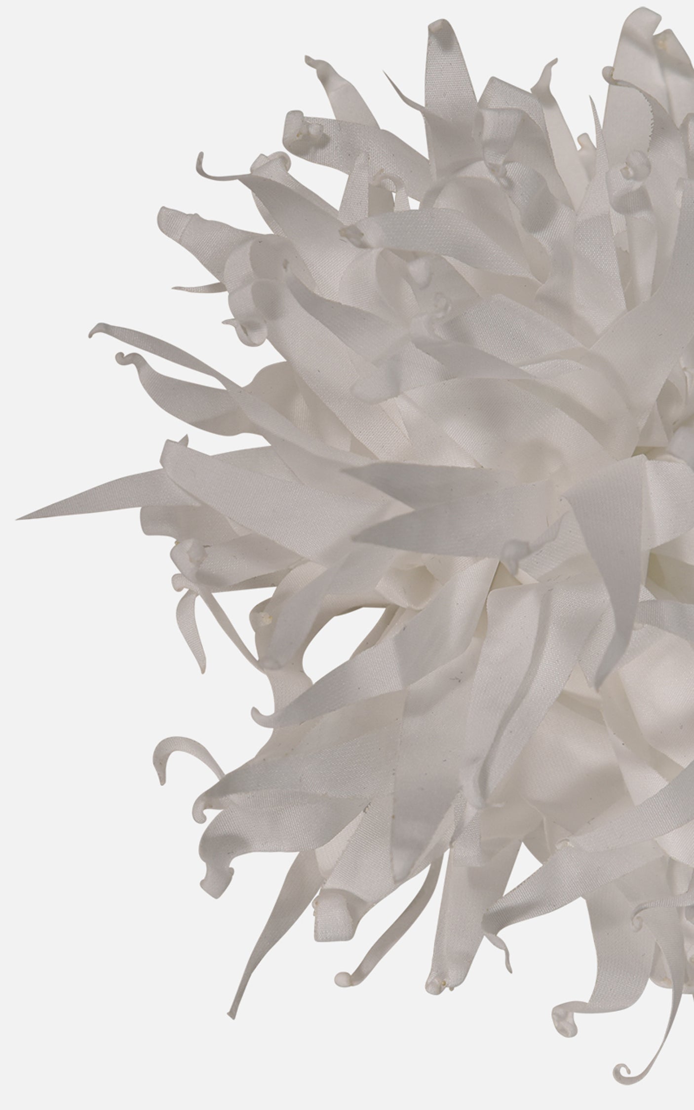 FNCAC01680.WHITE.3.jpg