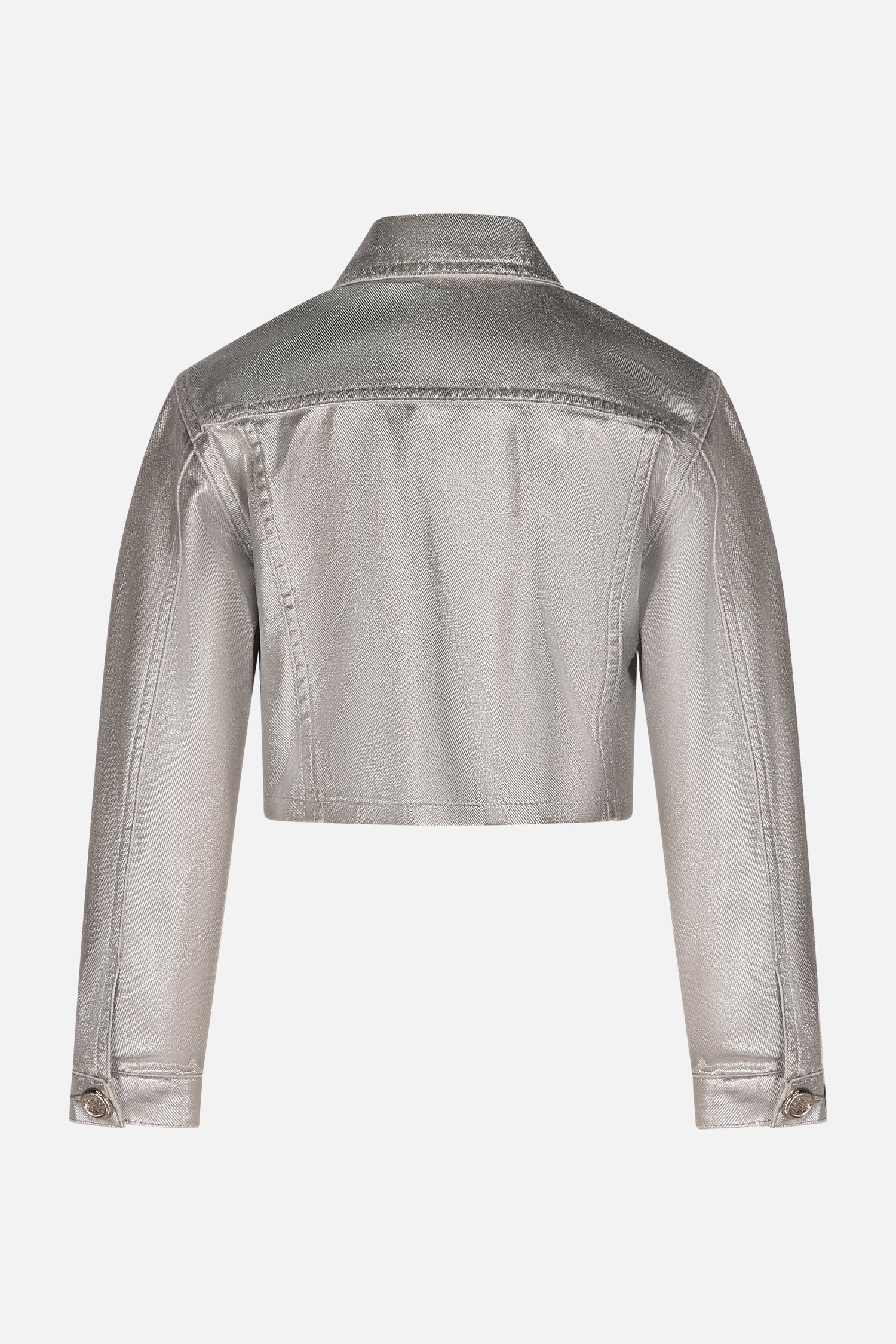 HLJJK01687.SILVER.2.jpg