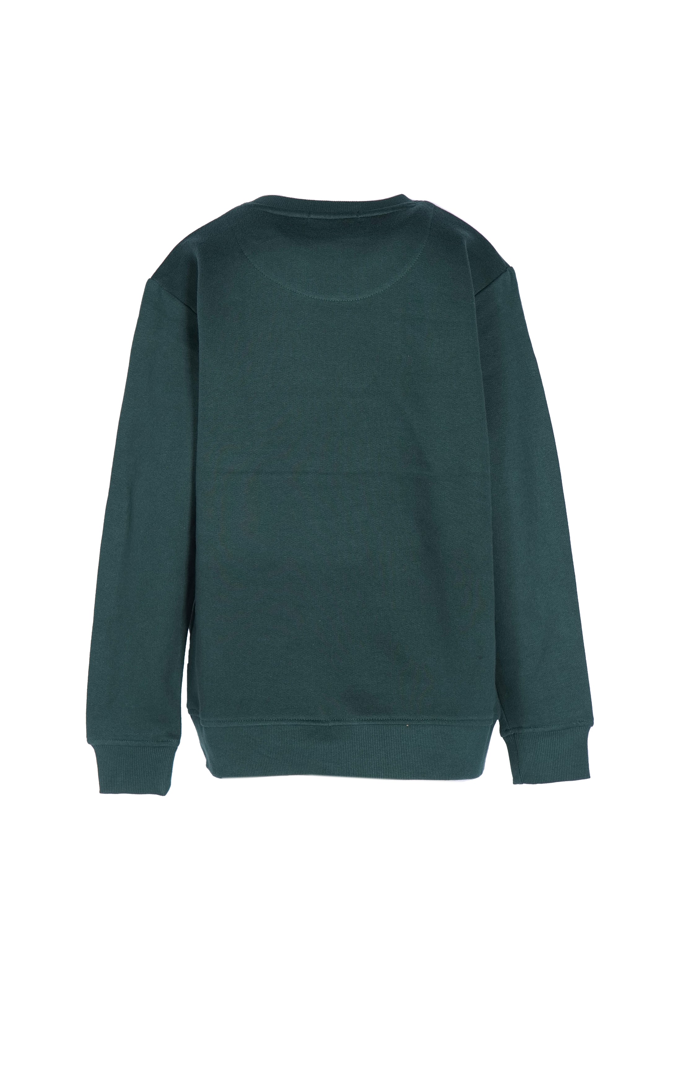 SVJST02441.VERDE.2.jpg