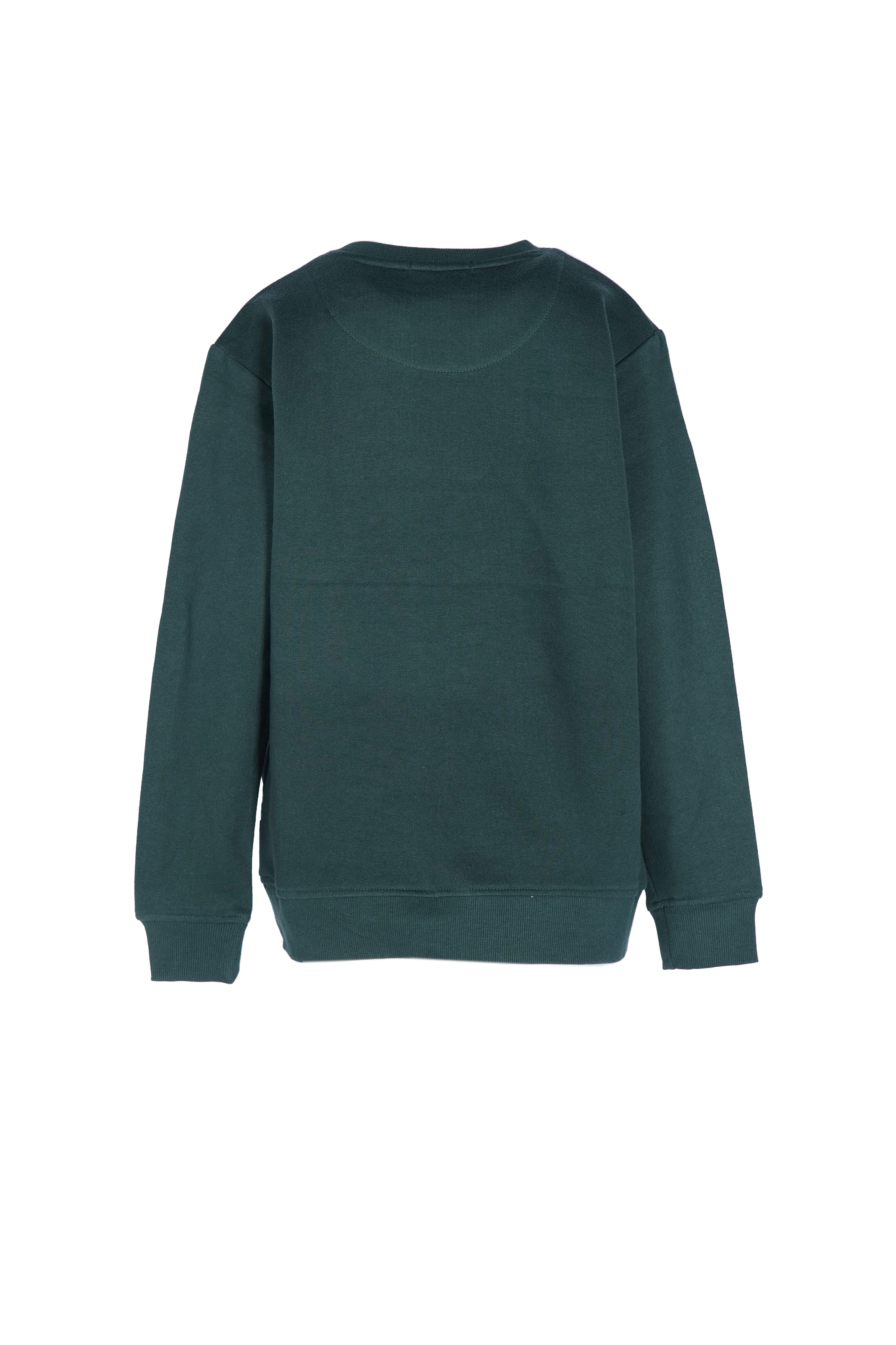 SVJST02441.VERDE.2.jpg