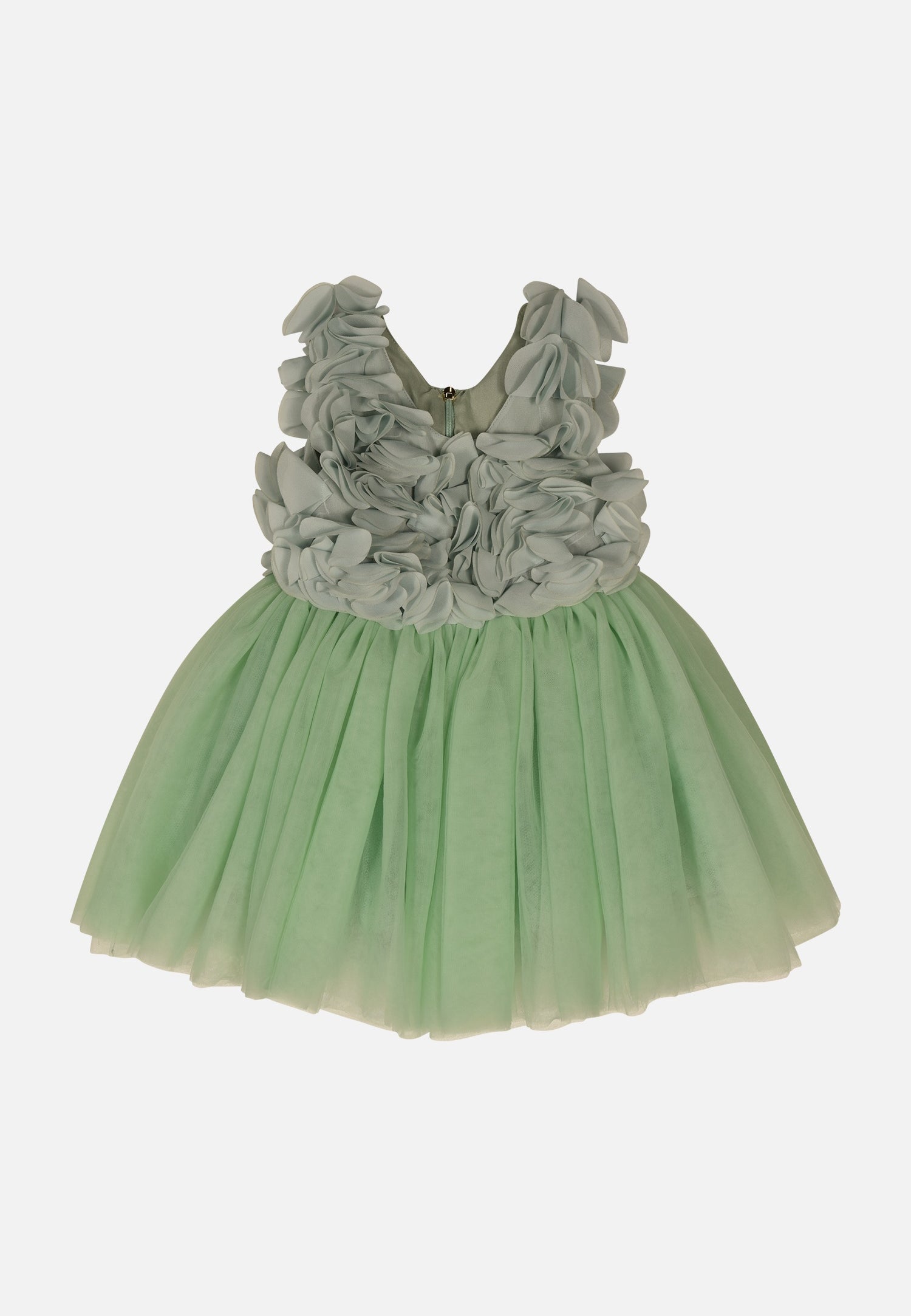 FNCNDR01003.GREEN.1.jpg
