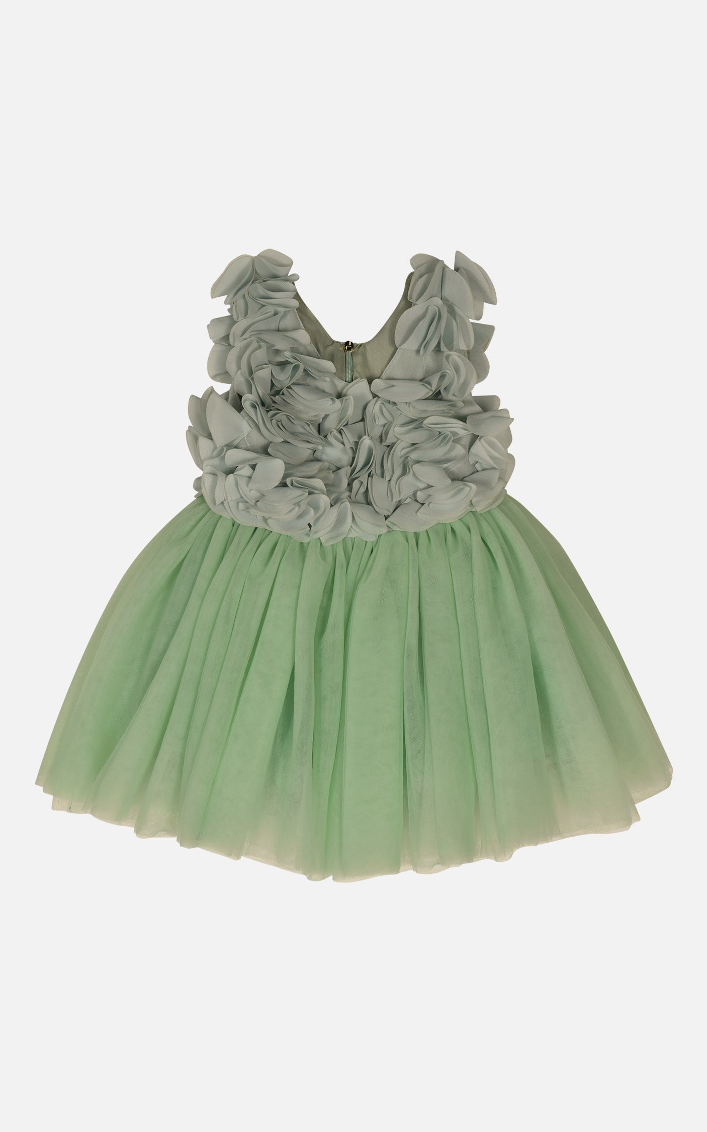 FNCNDR01003.GREEN.1.jpg