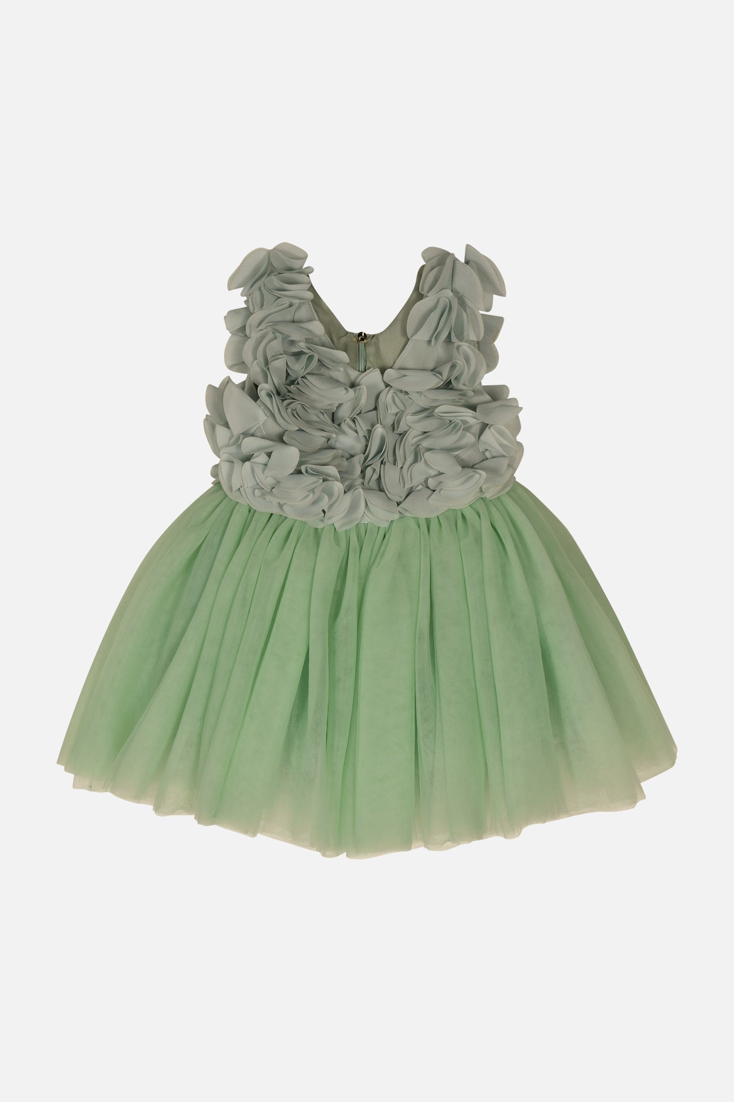 FNCNDR01003.GREEN.1.jpg