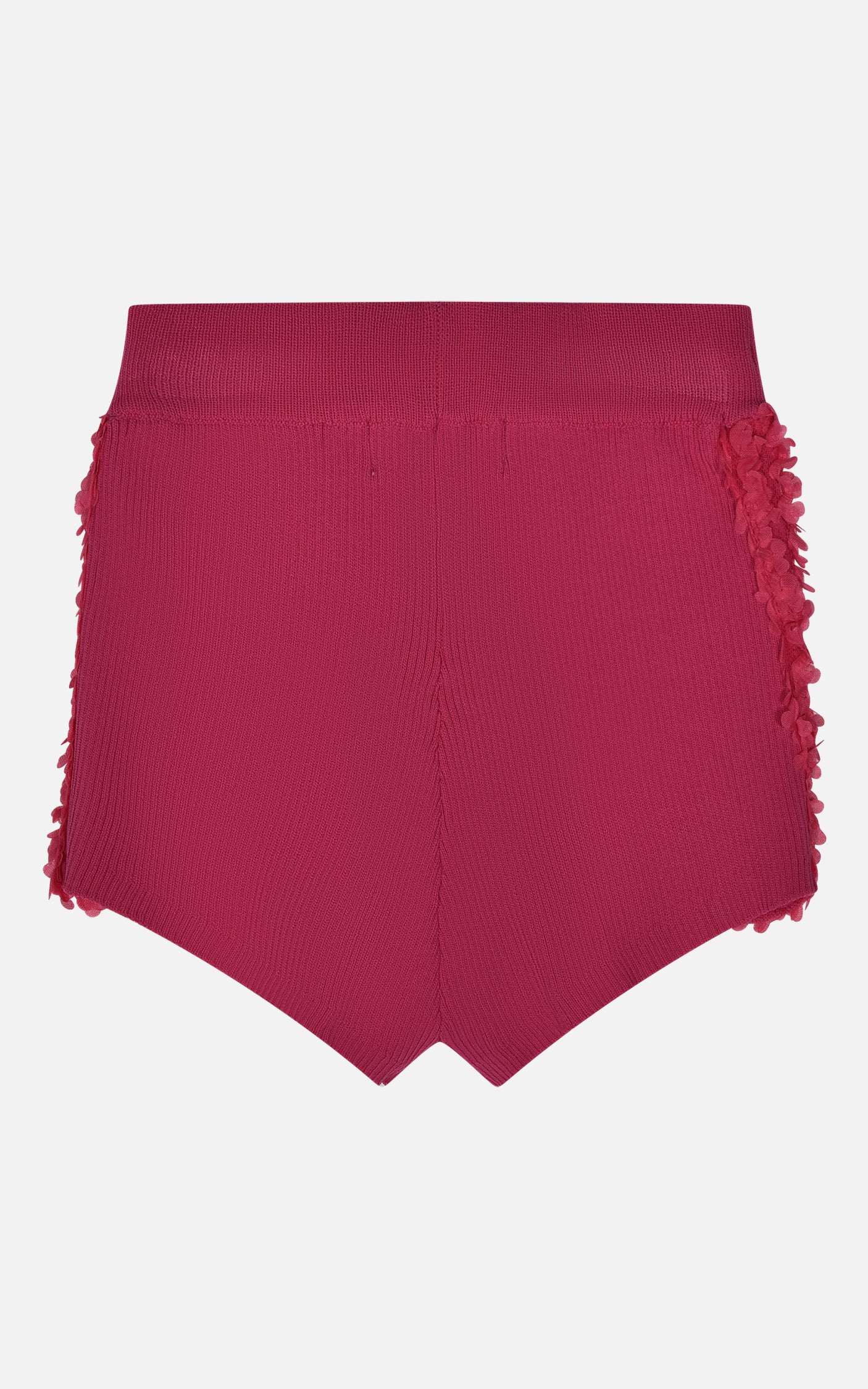 HLNSO01696.FUCSIA.2.jpg