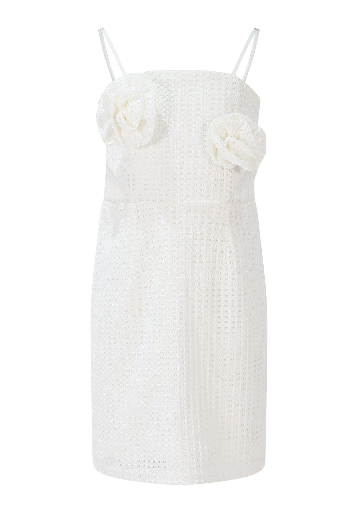 FJDR02946.WHITE.01.jpg