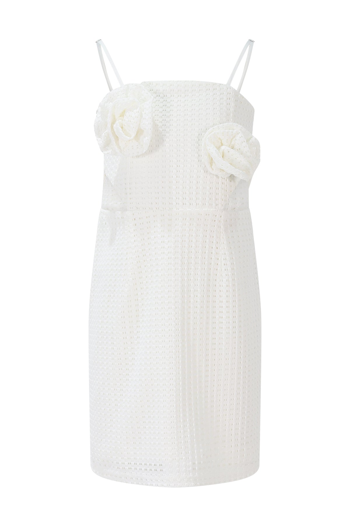 FJDR02946.WHITE.01.jpg