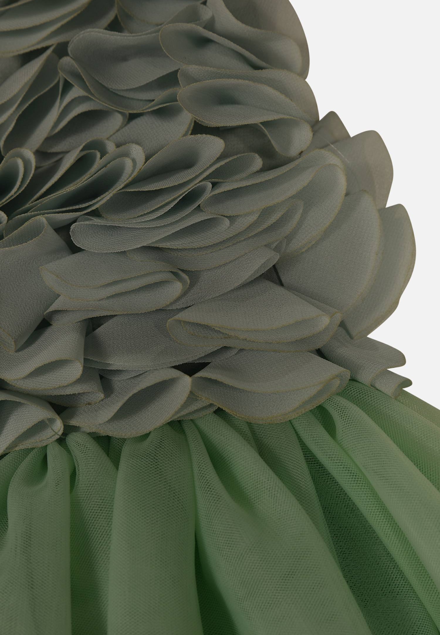 FNCNDR01003.GREEN.3.jpg