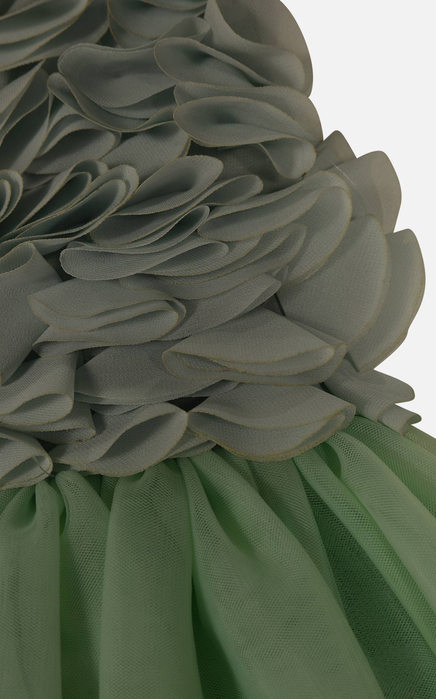 FNCNDR01003.GREEN.3.jpg