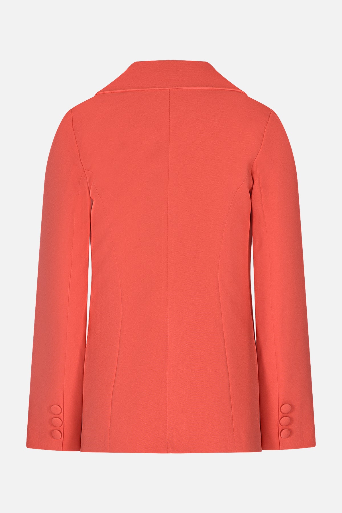 FNCJJK01082.CORAL.2.jpg