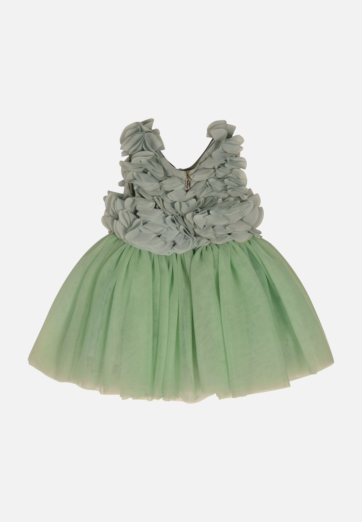 FNCNDR01003.GREEN.2.jpg