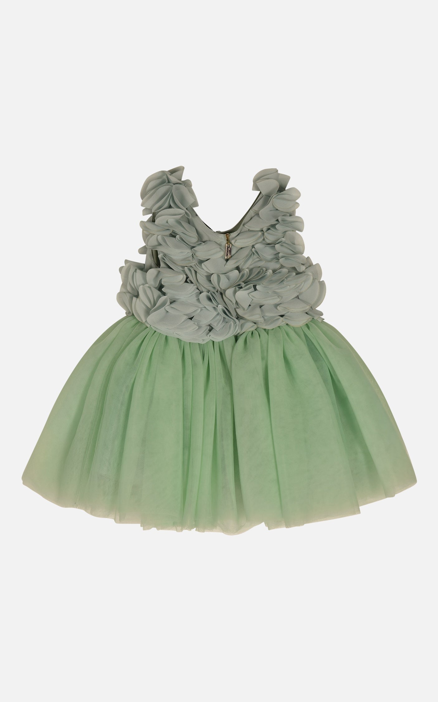FNCNDR01003.GREEN.2.jpg