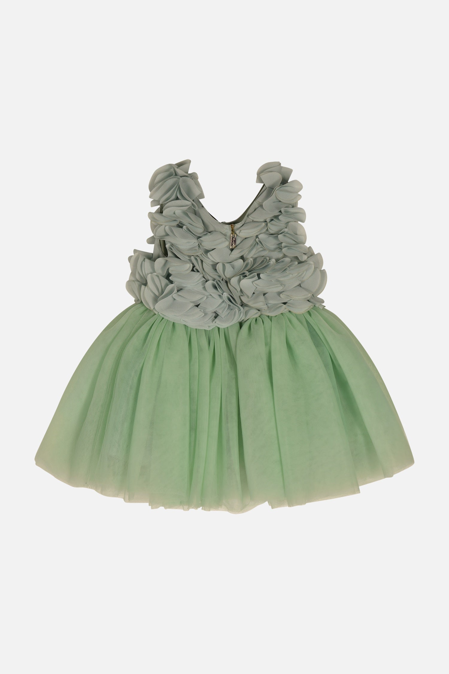 FNCNDR01003.GREEN.2.jpg