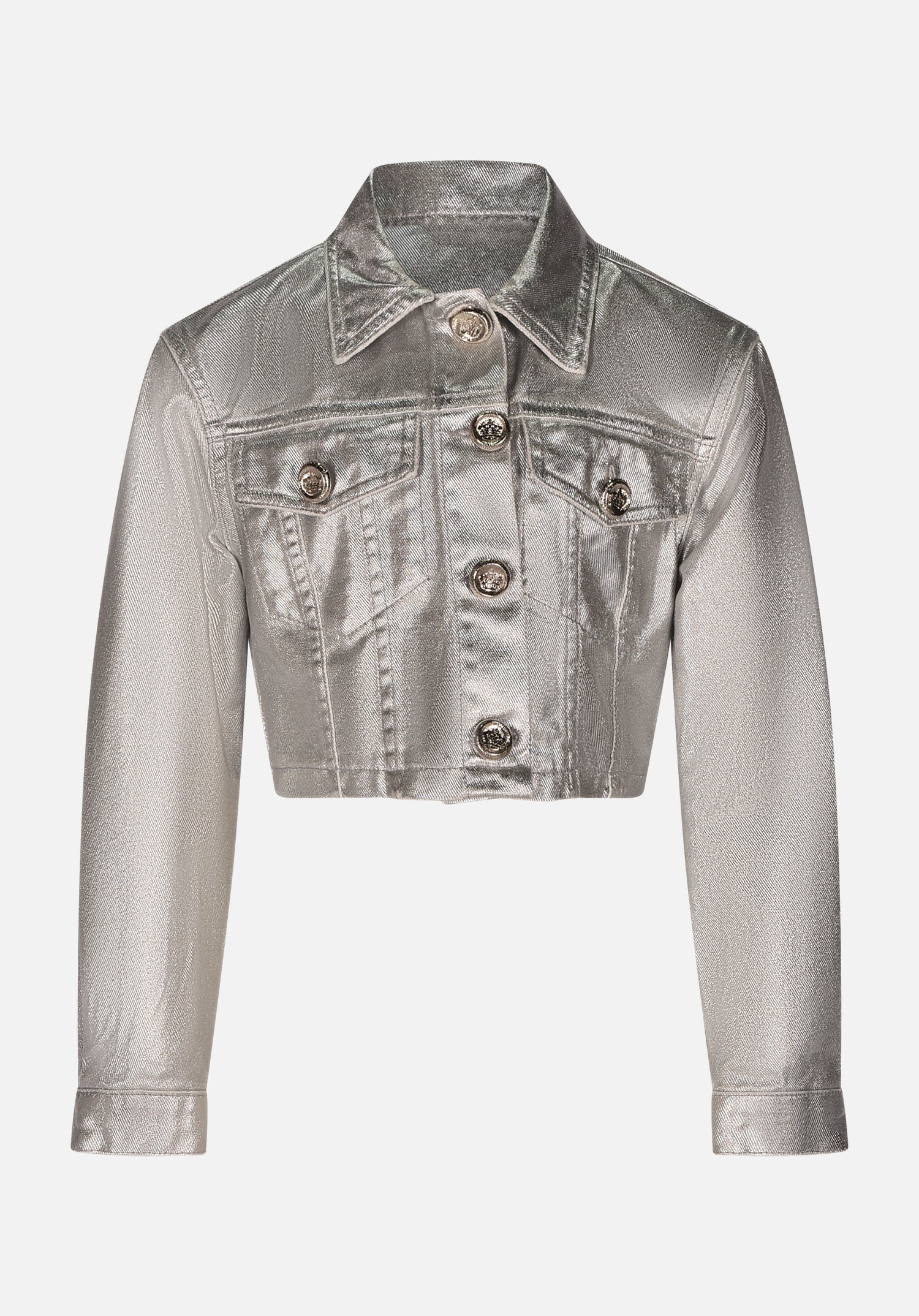 HLJJK01687.SILVER.1.jpg