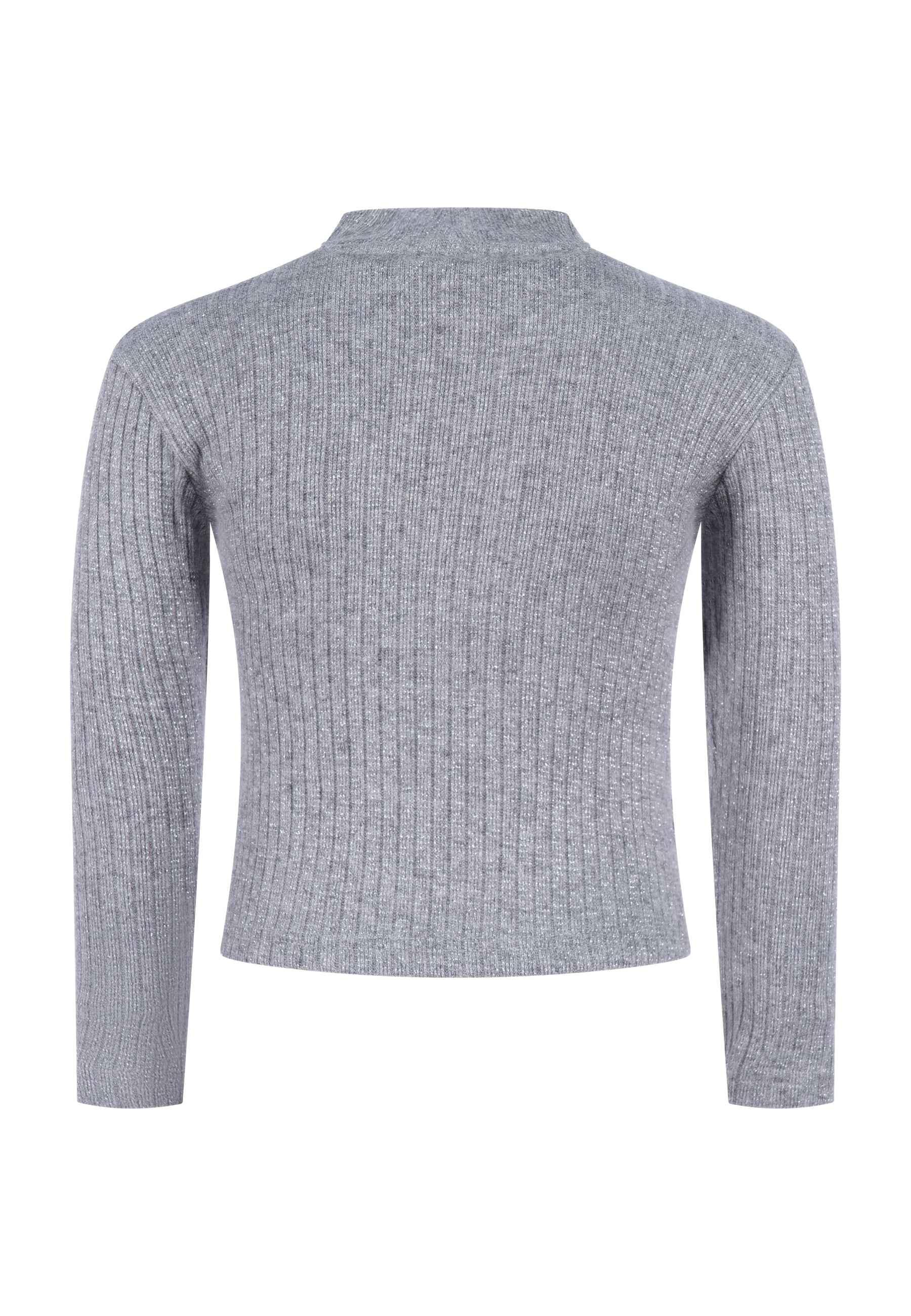FCBSW02429.SILVER.2.jpg