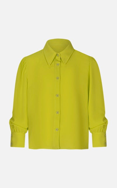 JMJSH00230.LIME.1.jpeg