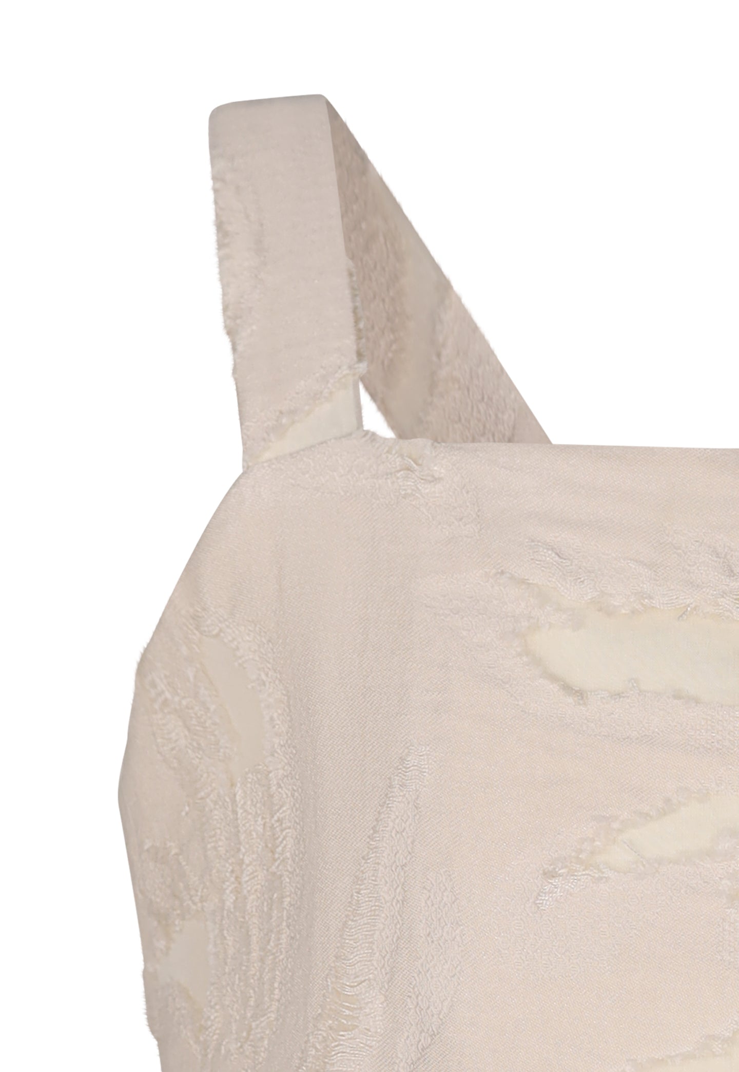FCJTP03041.BURRO.03.jpg