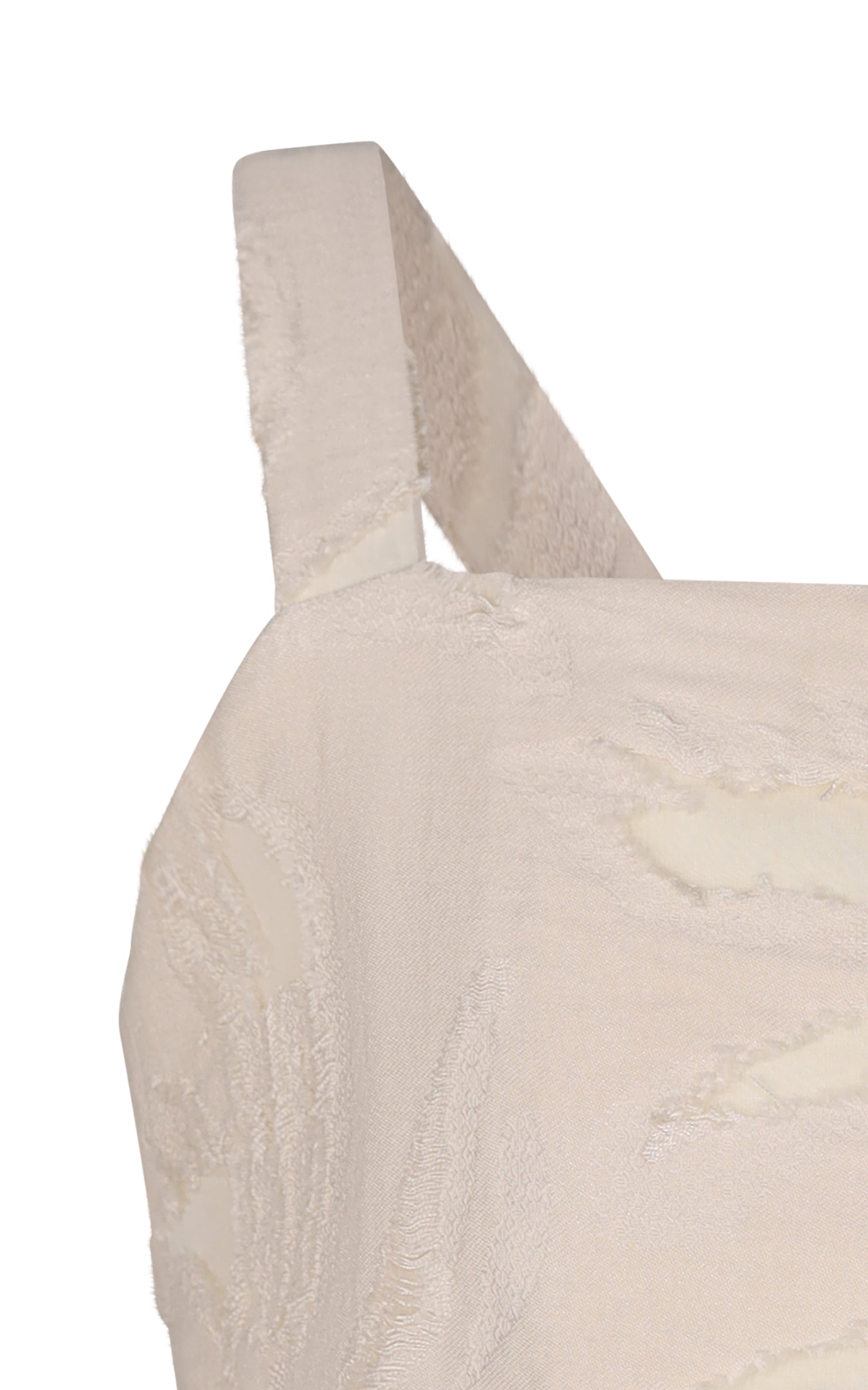 FCJTP03041.BURRO.03.jpg