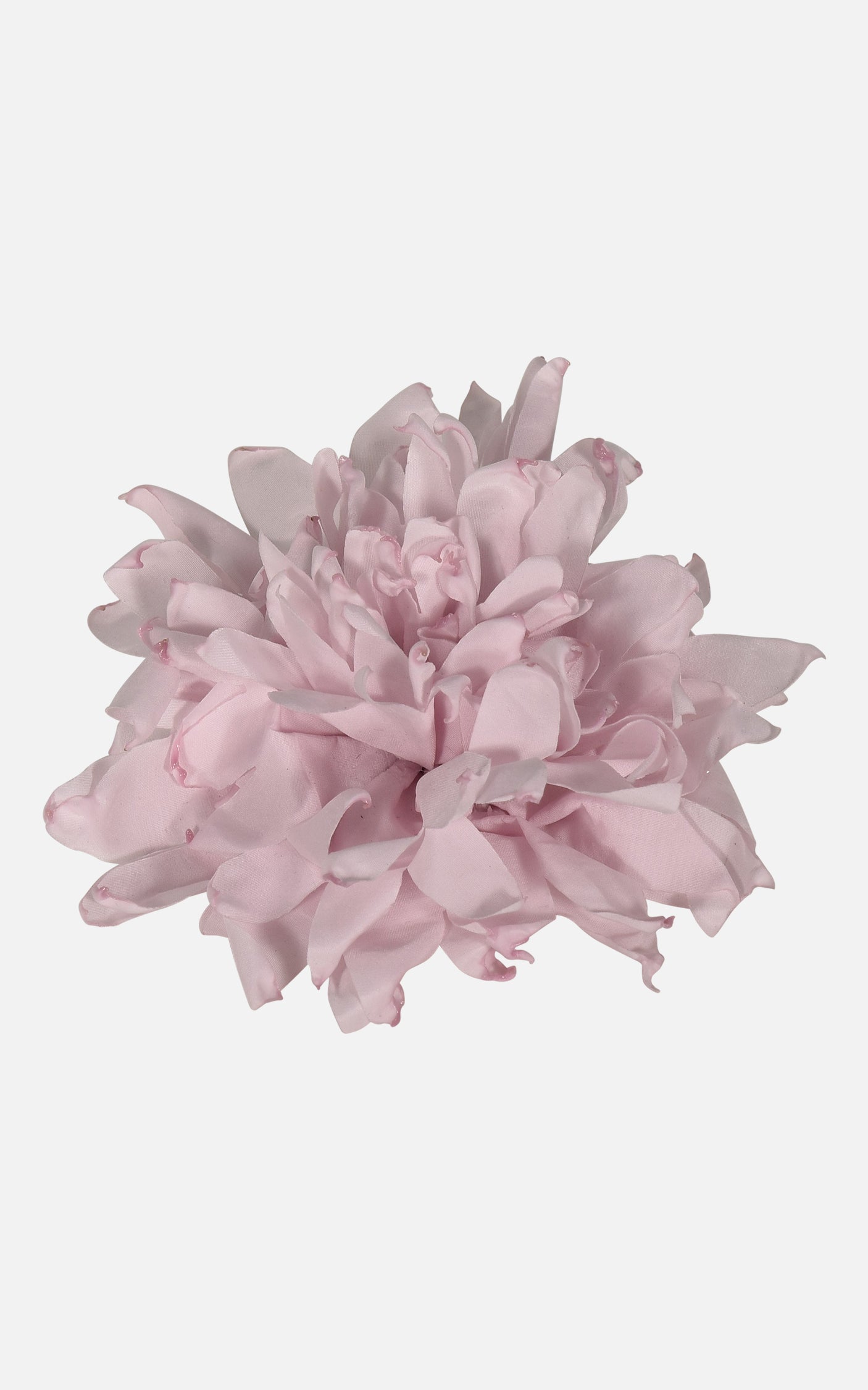 FNCAC01679.PINK.2.jpg