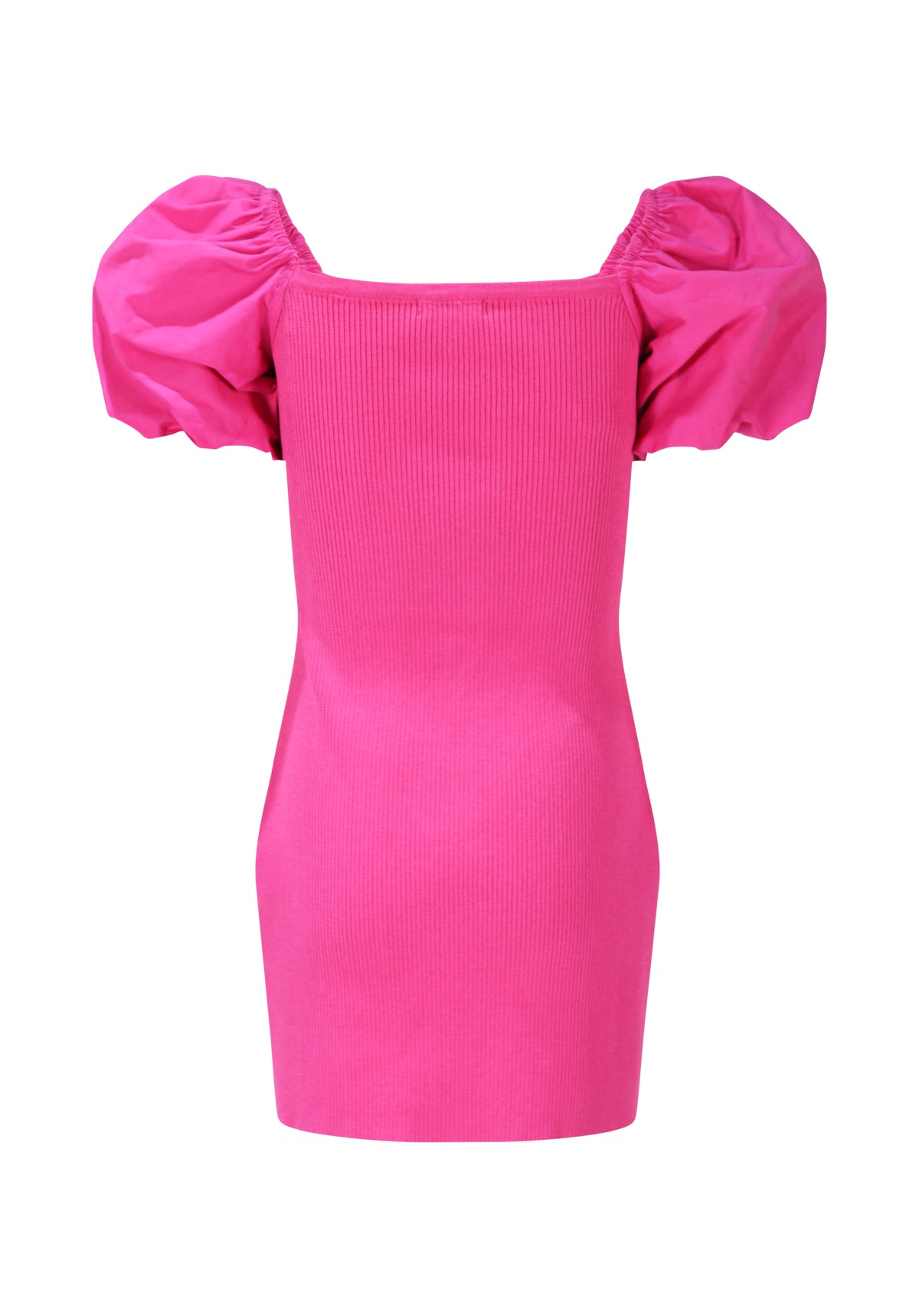 FJDR02891.FUCSIA.02.jpg