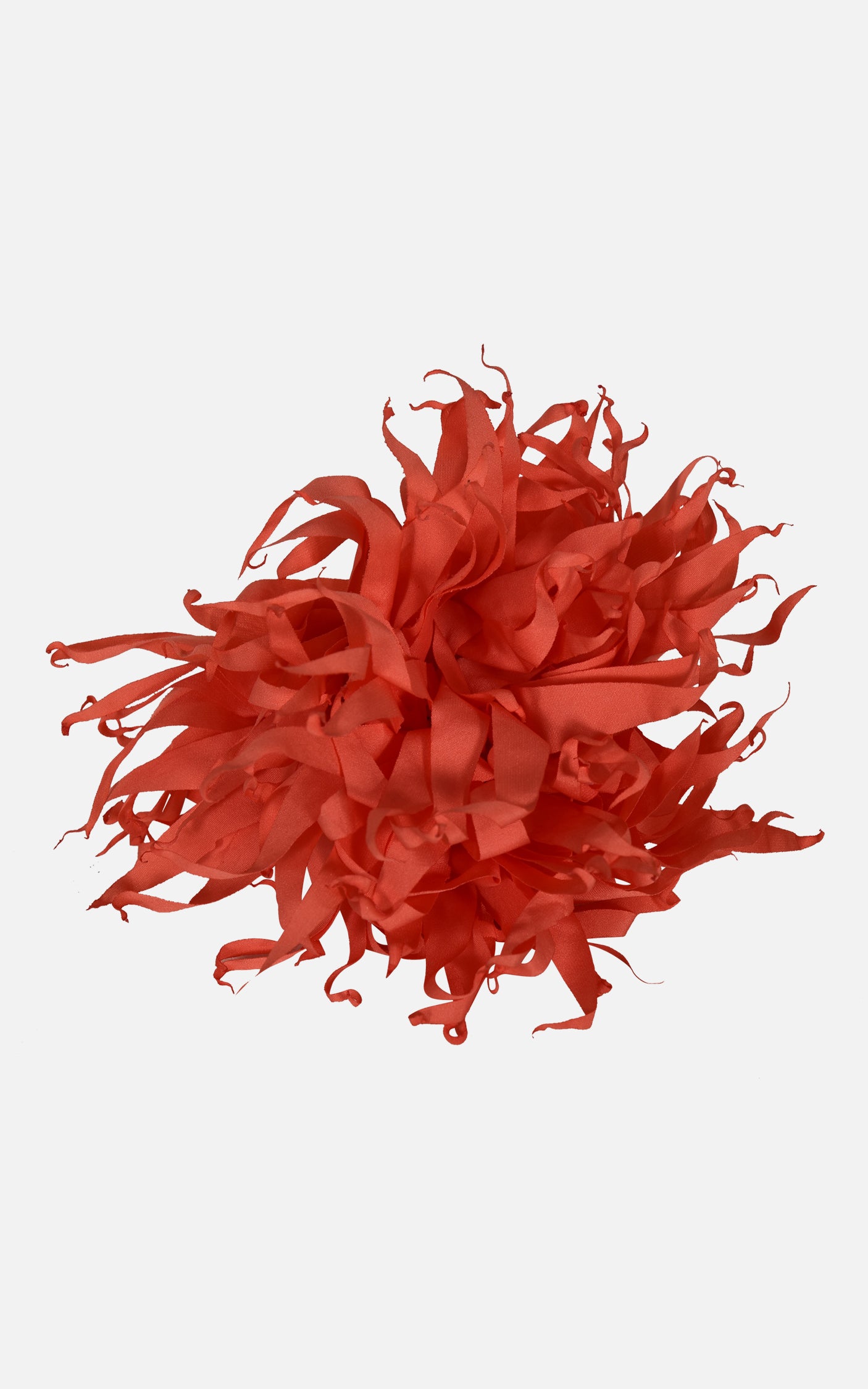 FNCAC01680.CORAL.2.jpg