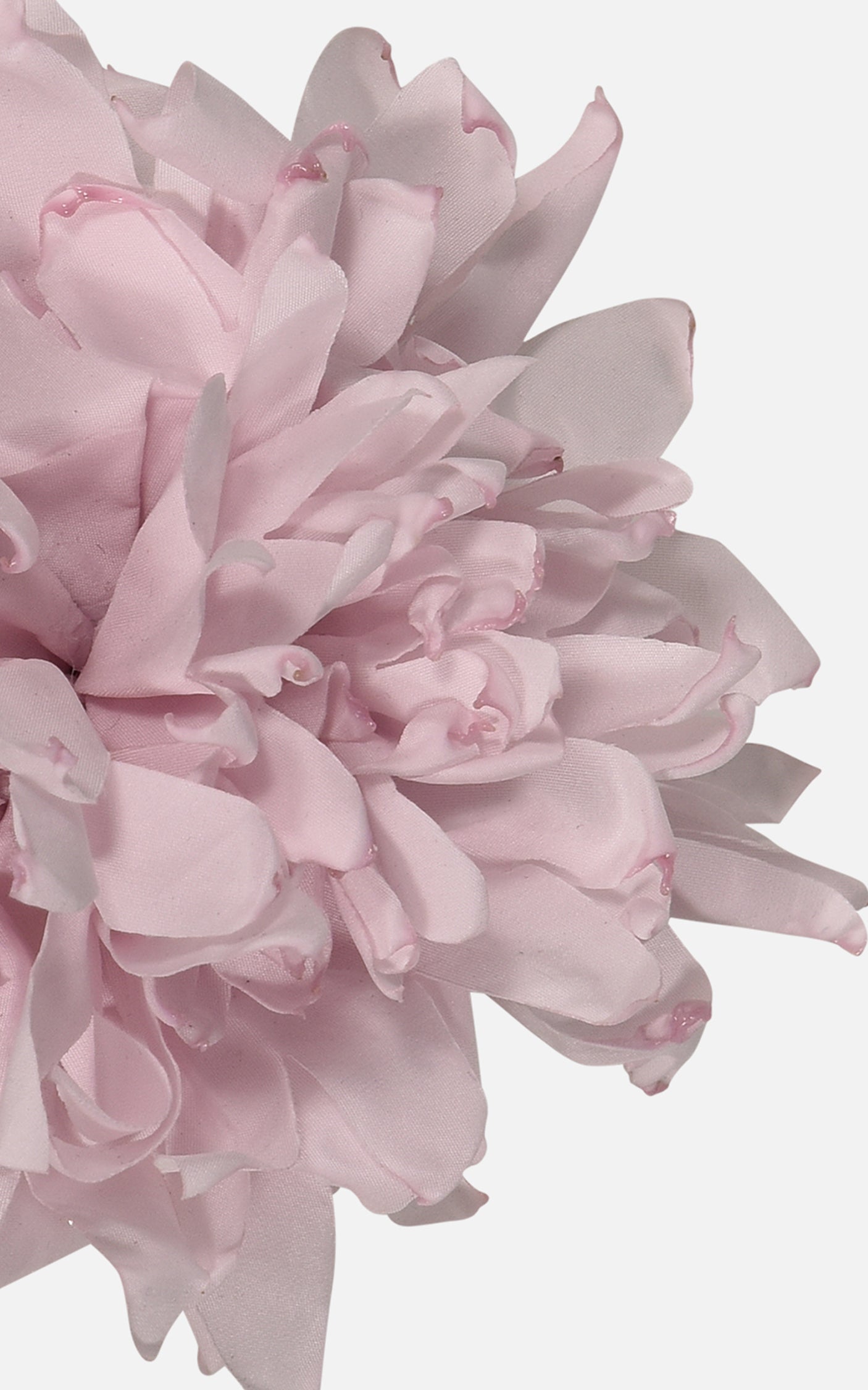 FNCAC01679.PINK.3.jpg