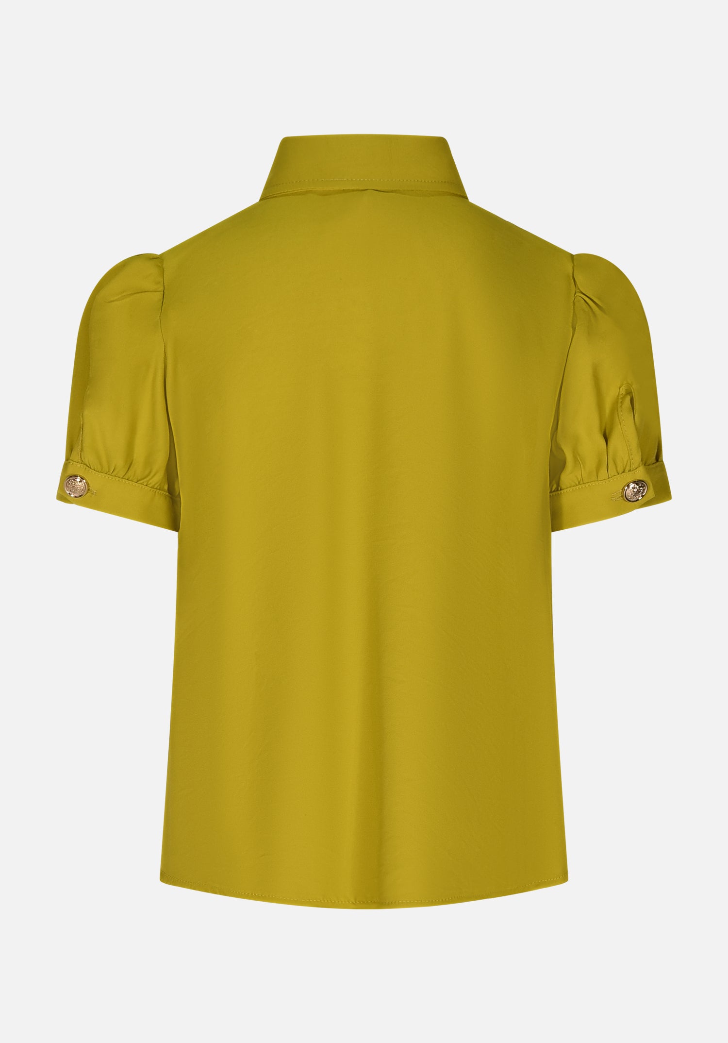 HLJSH01553.LIME.2.jpg