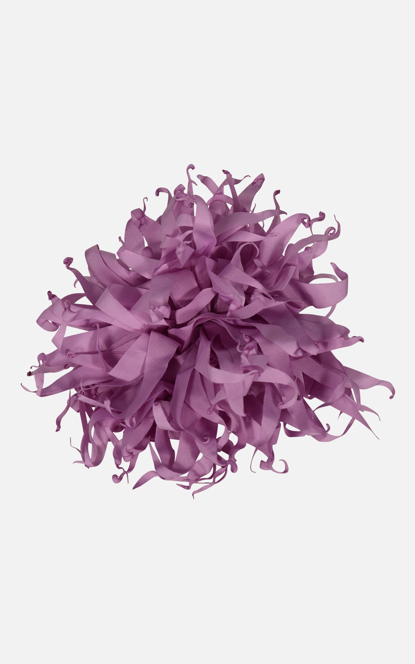 FNCAC01680.GLICINE.2.jpg