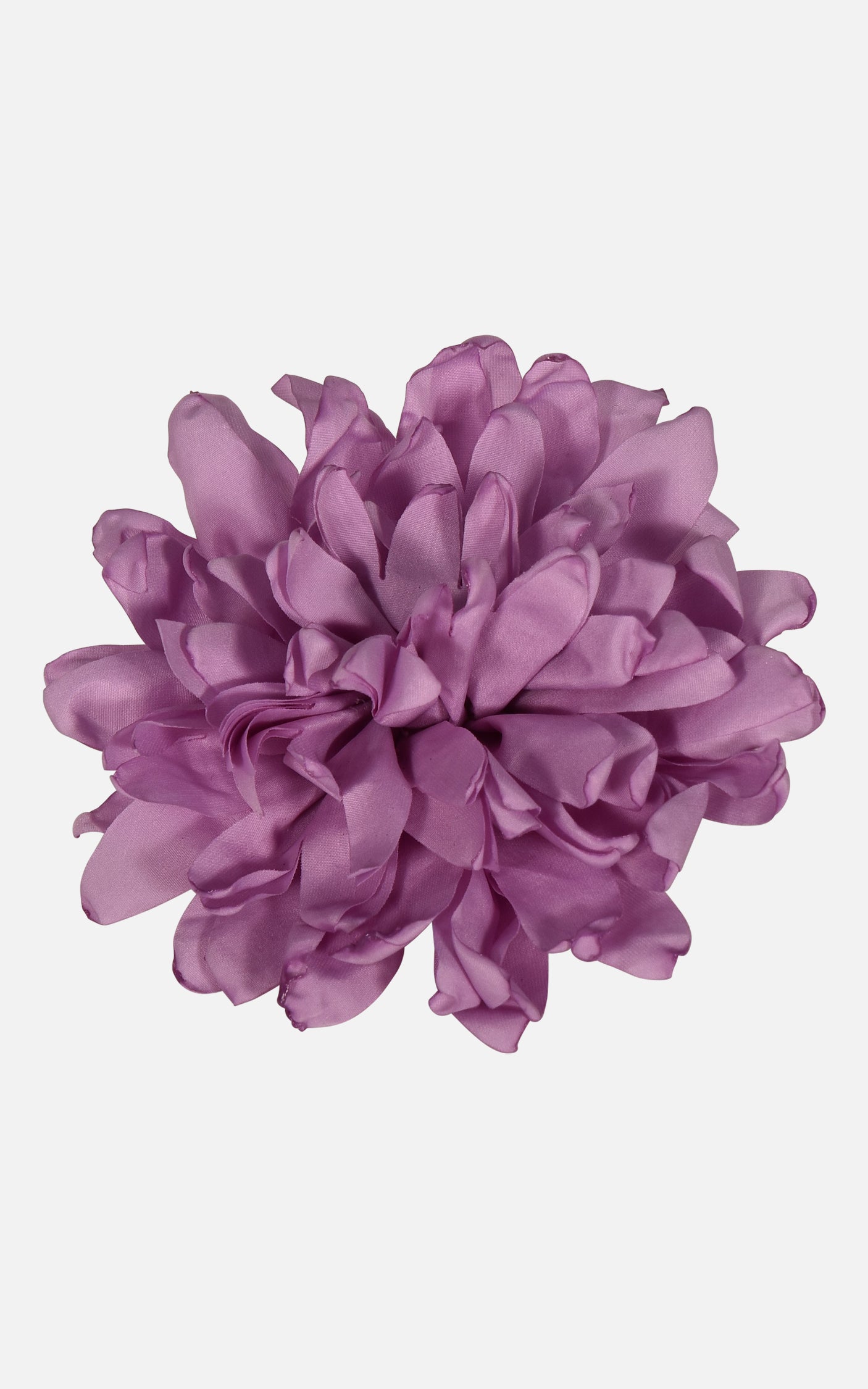 FNCAC01679.GLICINE.2.jpg