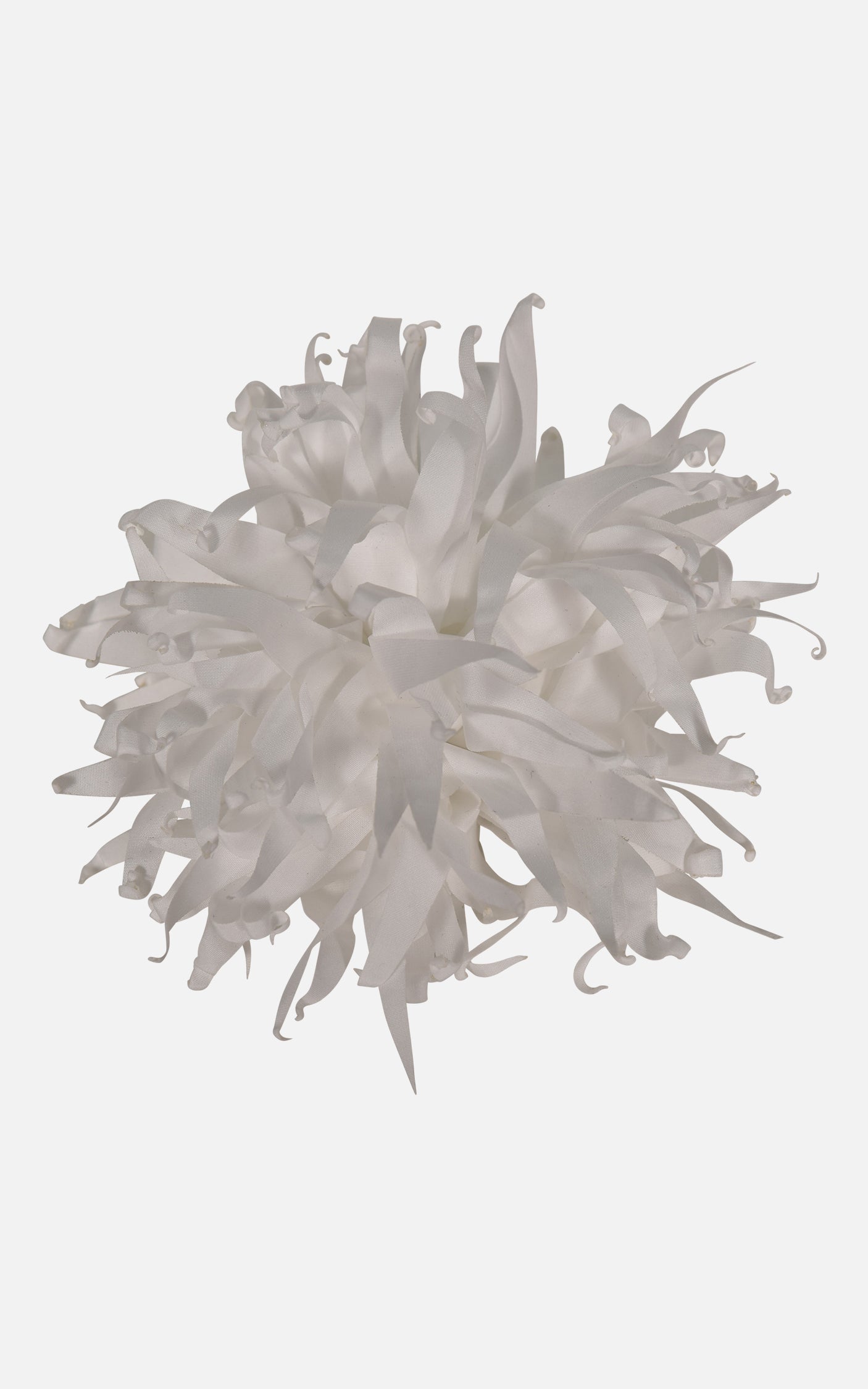 FNCAC01680.WHITE.2.jpg