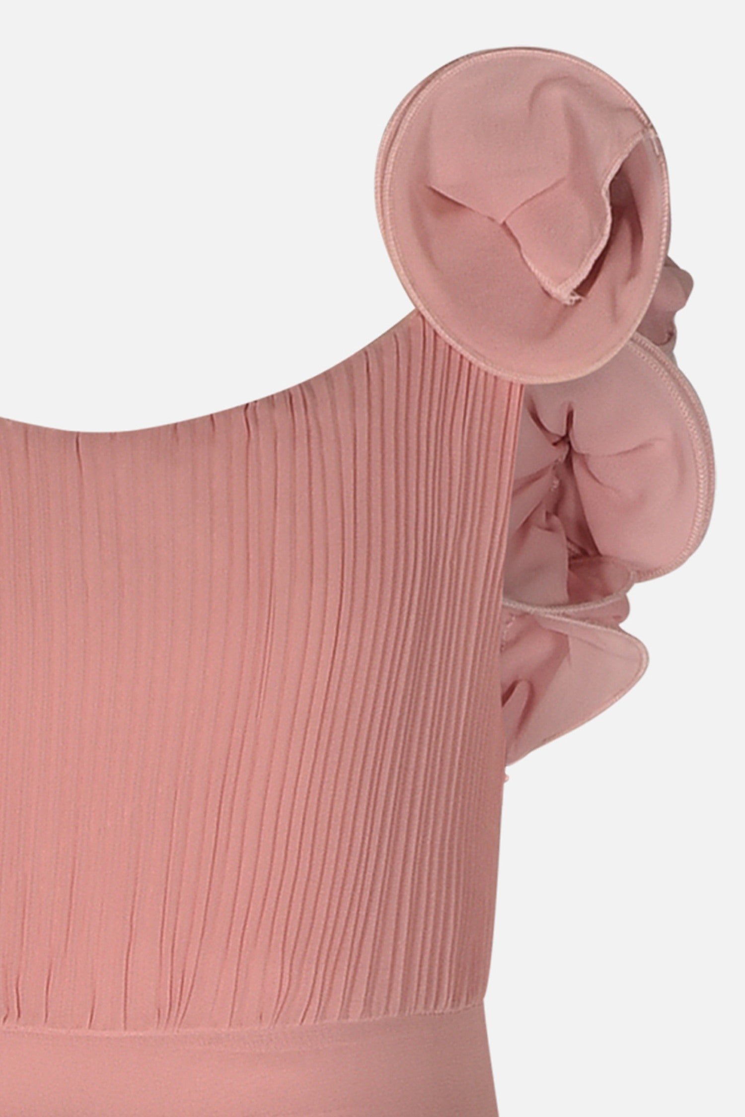 FNCJDR01014.ROSACIPRIA.3.jpg