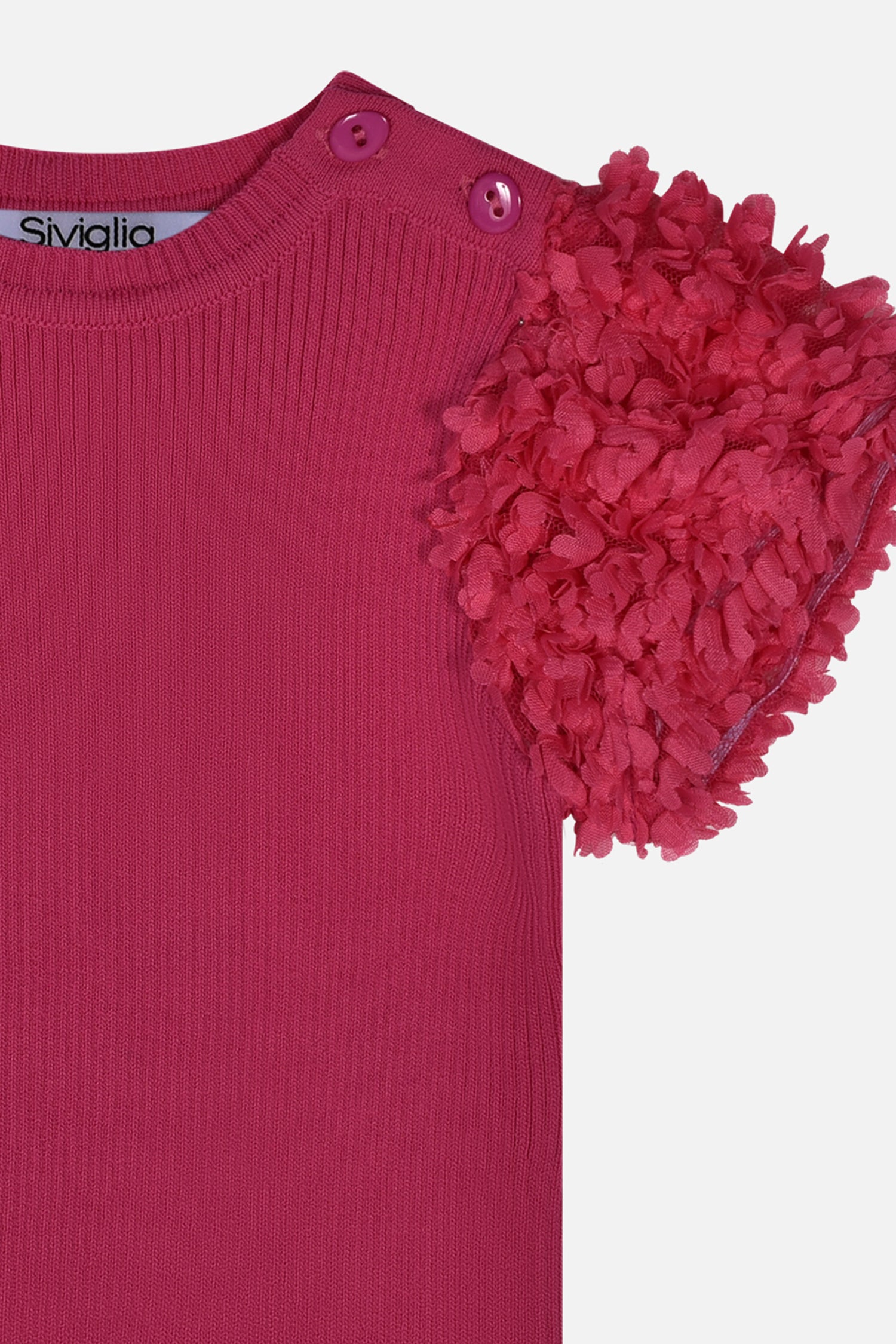 HLNTS01695.FUCSIA.3.jpg