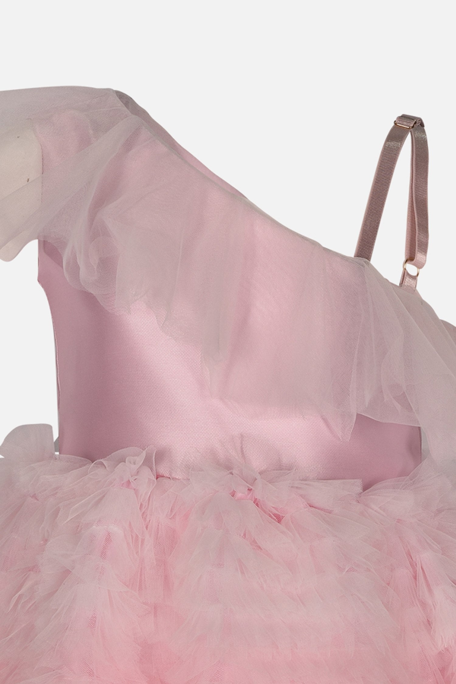 FNCBDR01056.ROSACIPRIA.3.jpg
