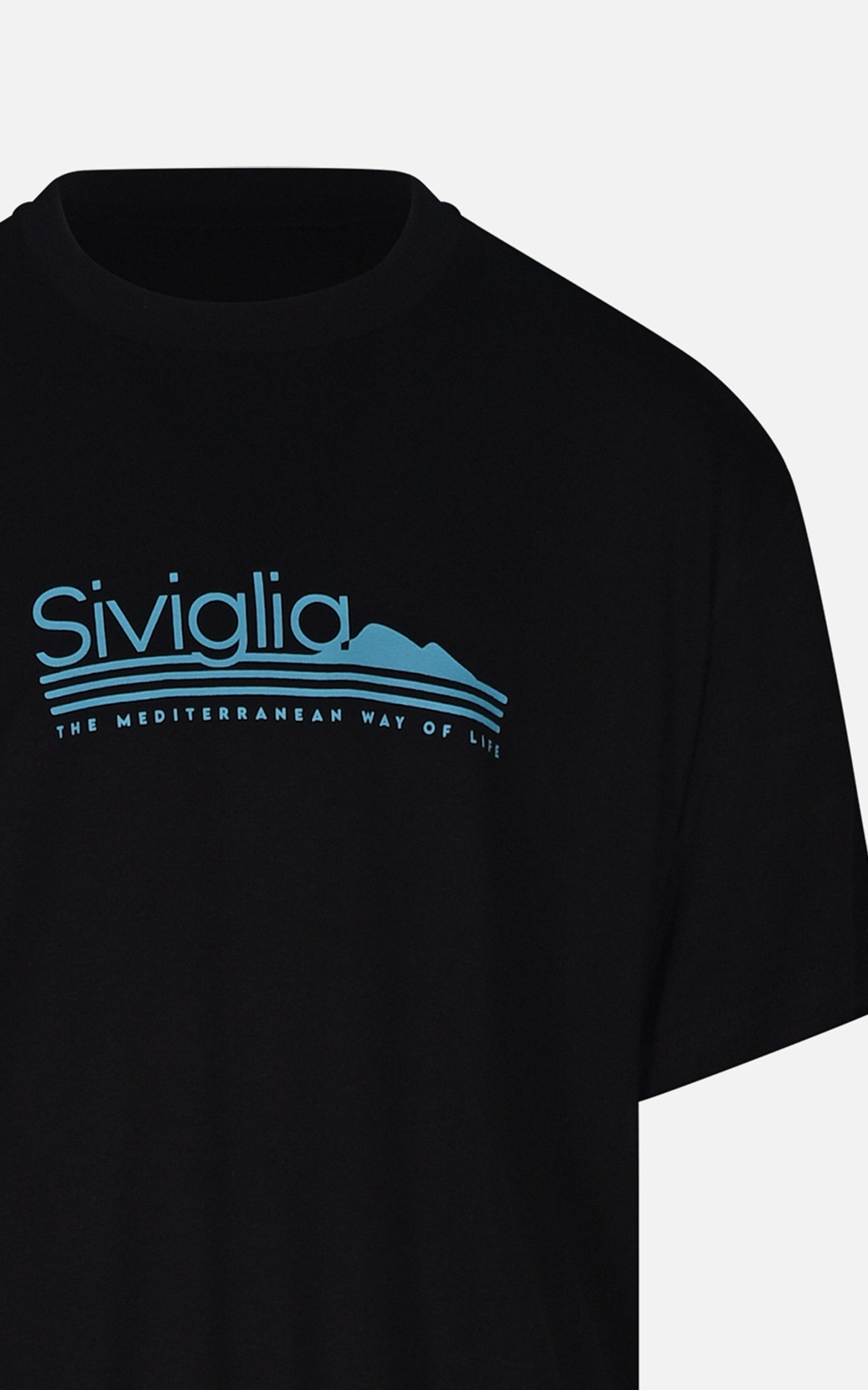SVJTS01468.BLU.3.jpg
