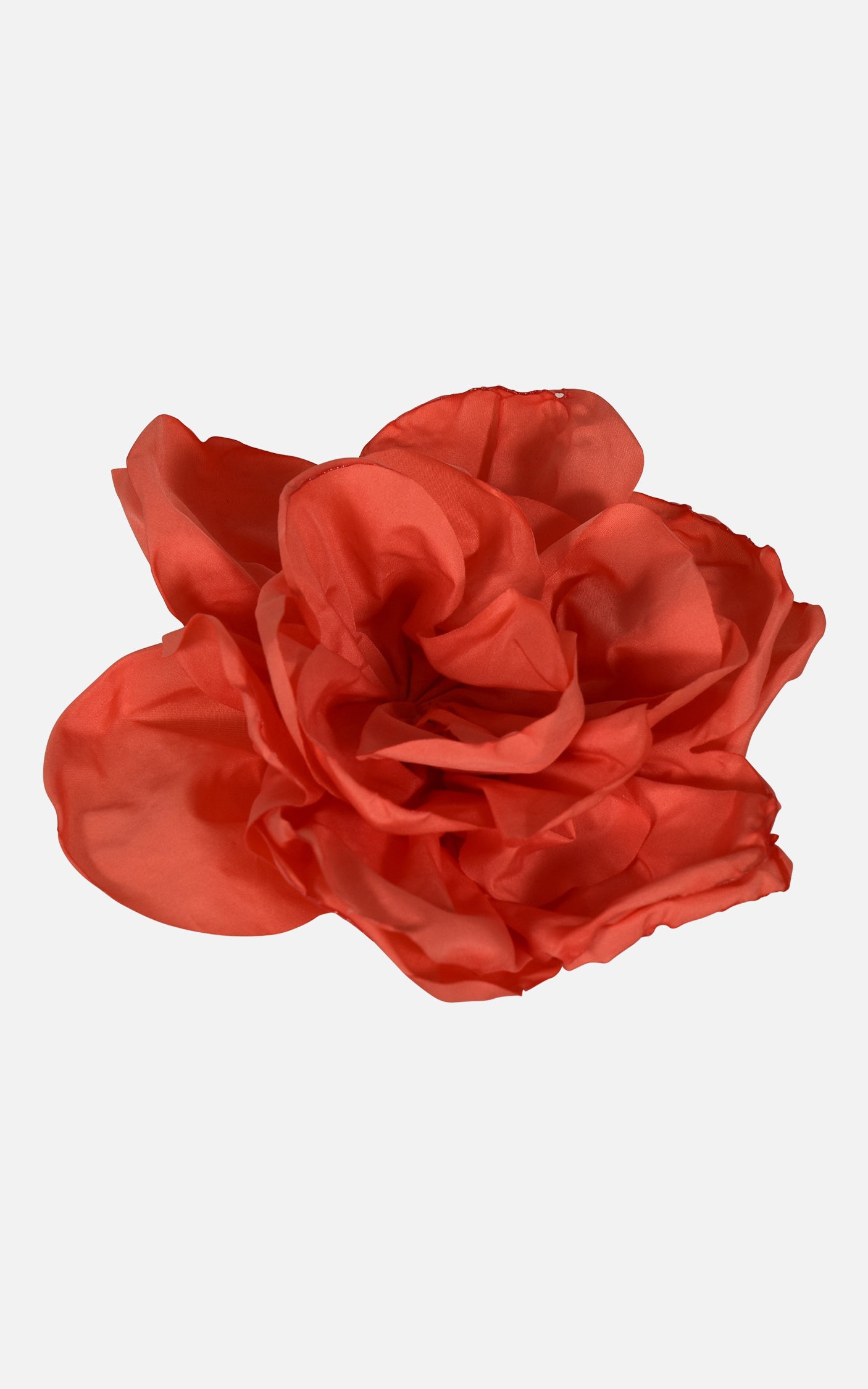 FNCAC01678.CORAL.2.jpg